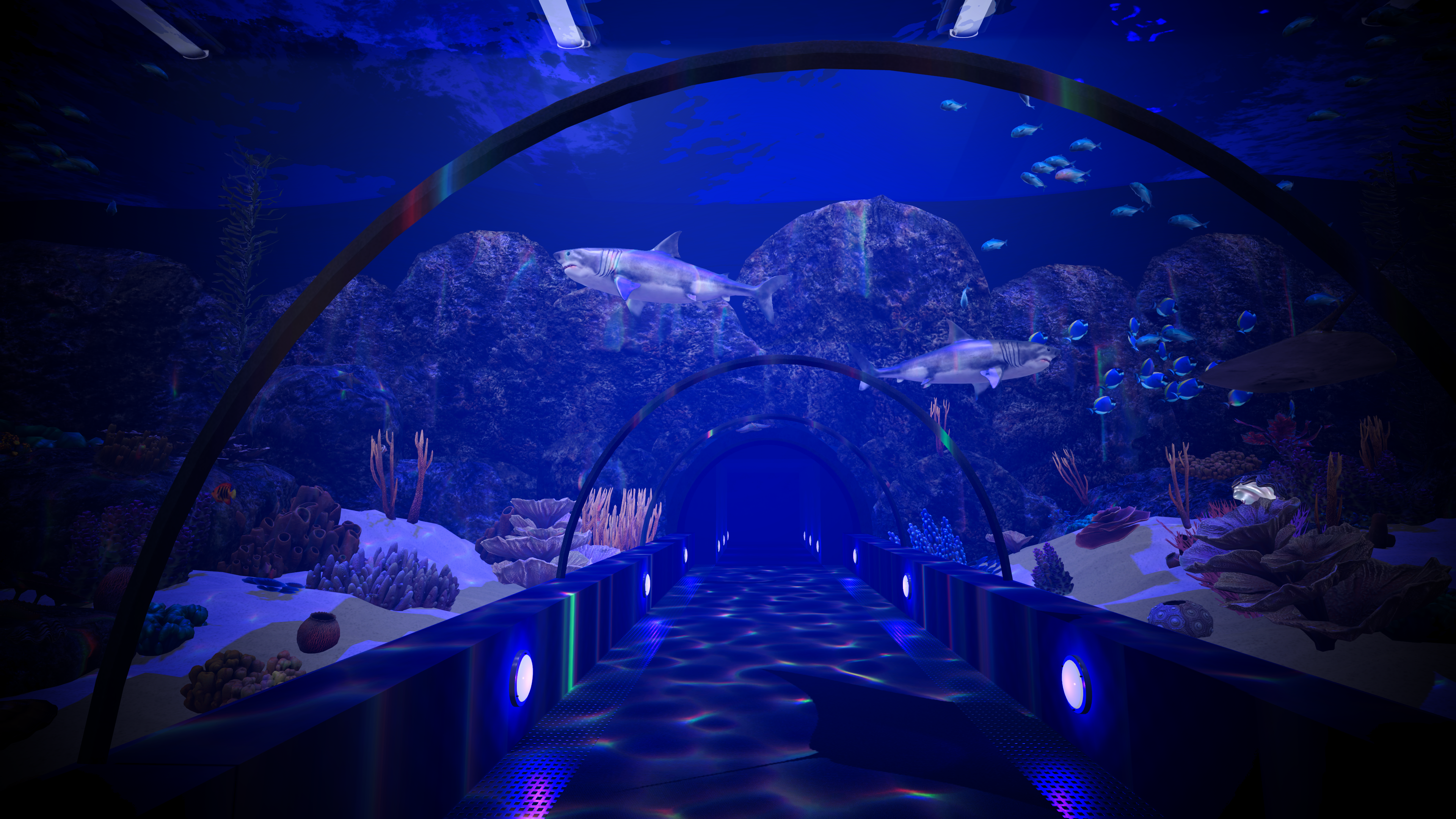 Aquarium Anomaly