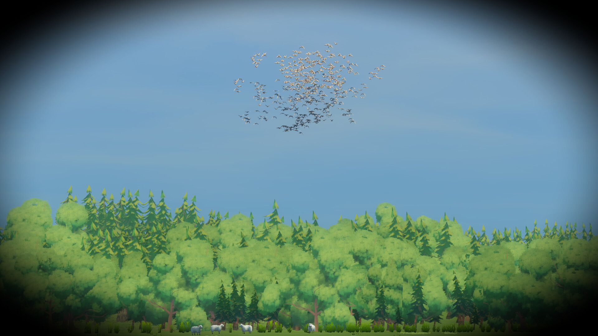 Look to the Birds