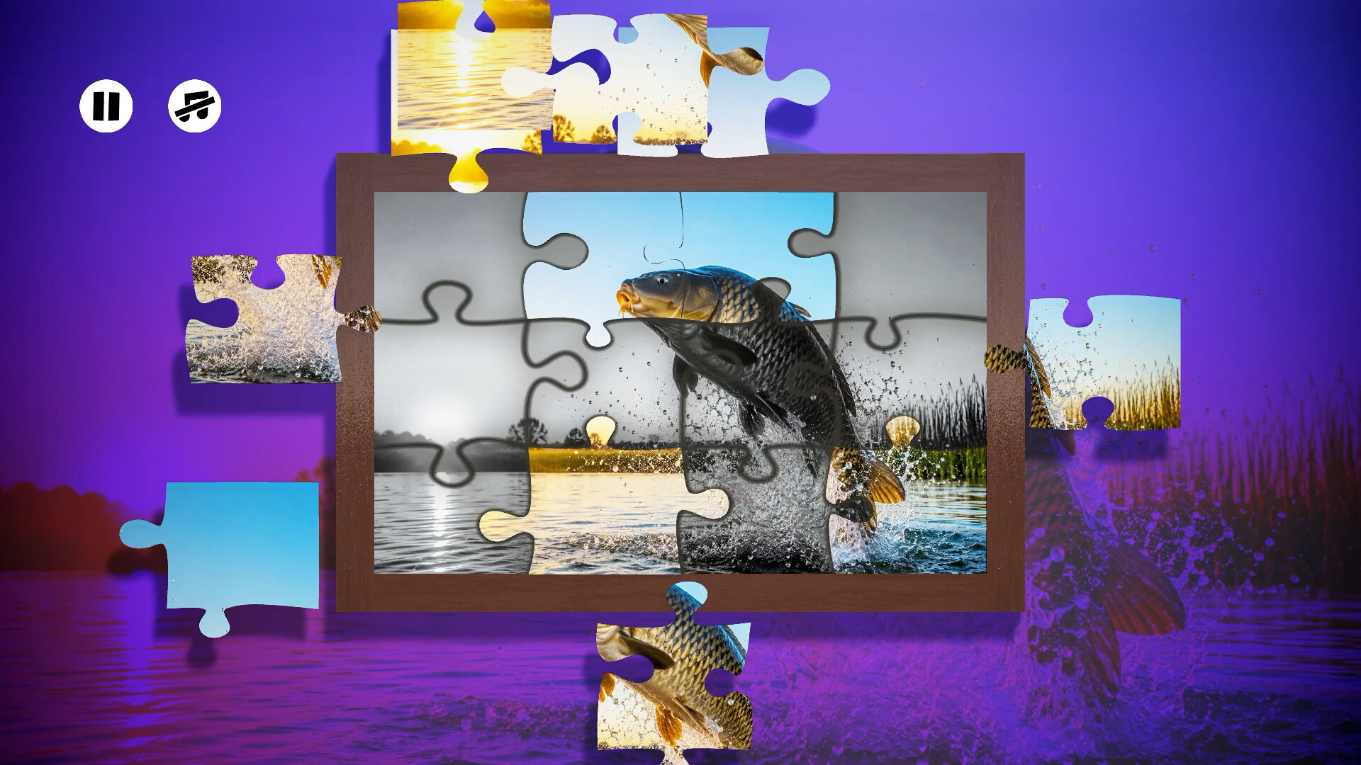 Puzzles: Fish