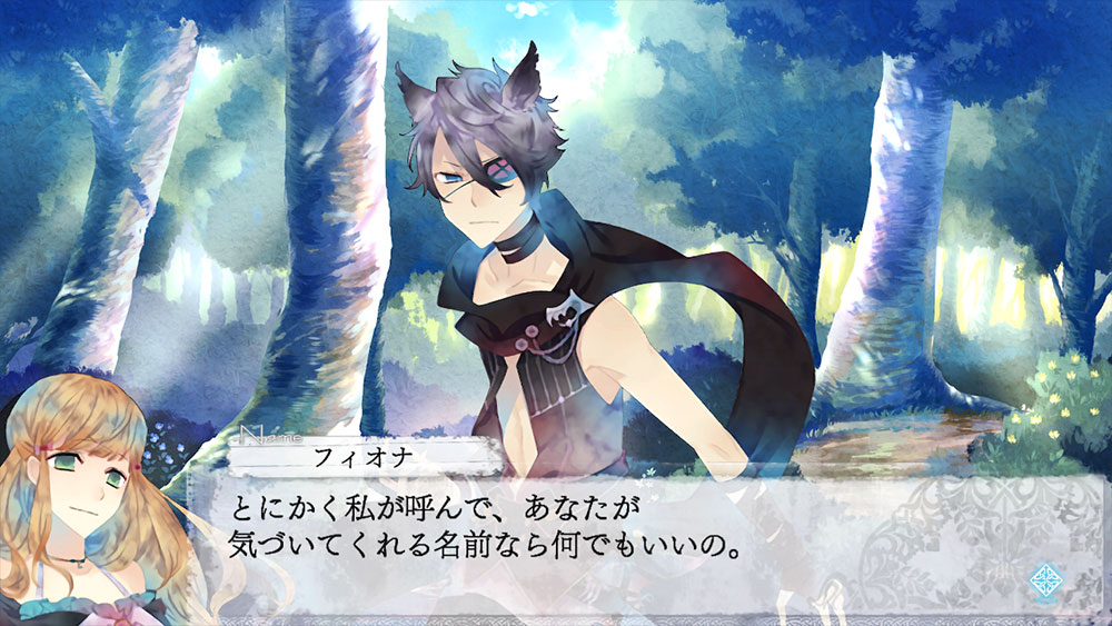 Black Wolves Saga: Weiβ und Schwarz – for Nintendo Switch