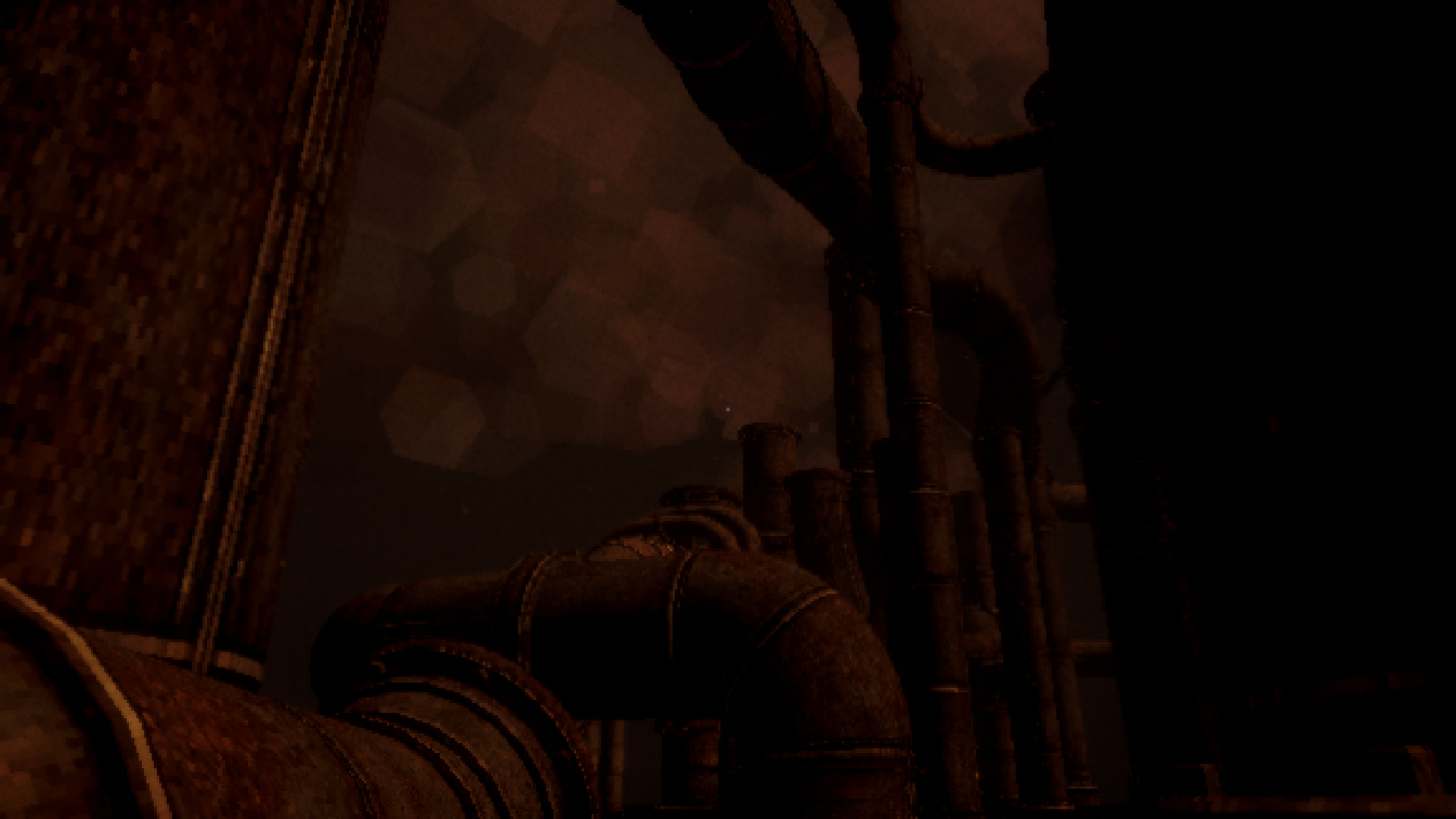 Claustrum