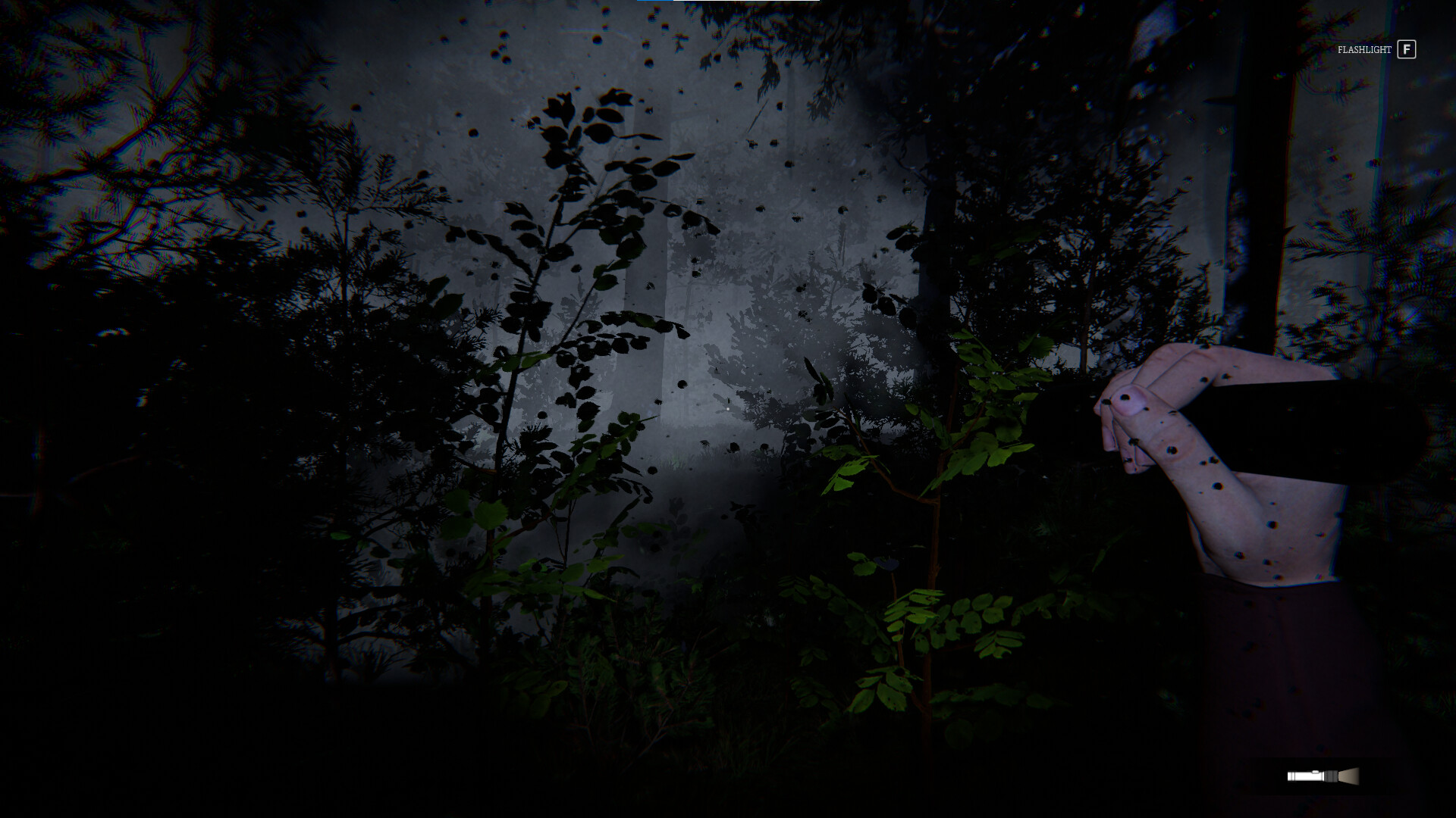 Still Rain: The Arrival