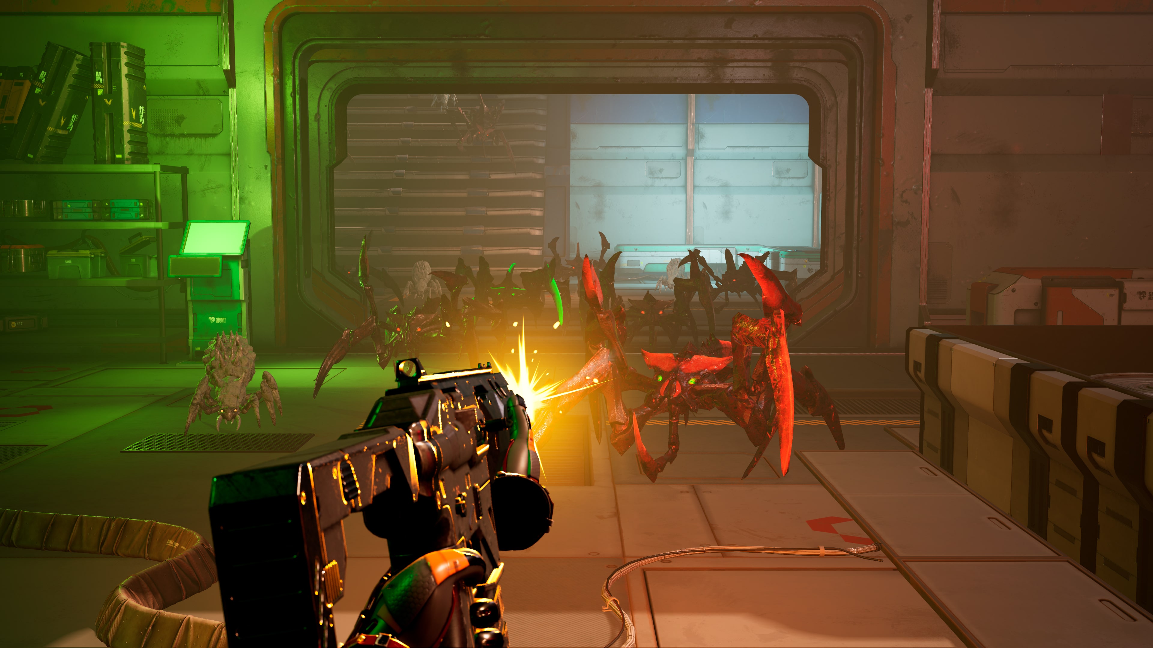 The Long Survival