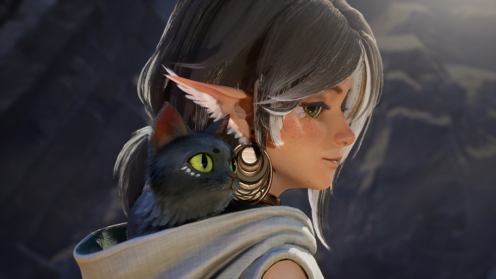 Ylem’s Cat