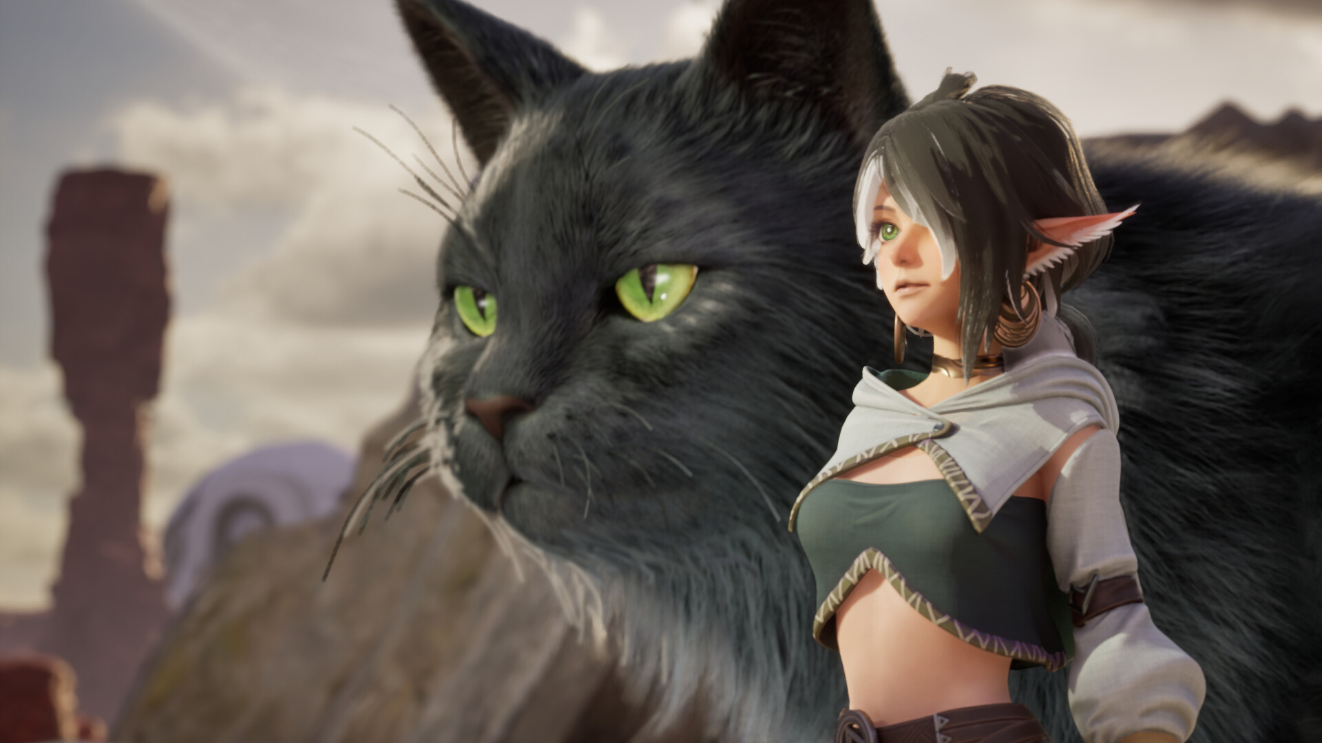 Ylem’s Cat