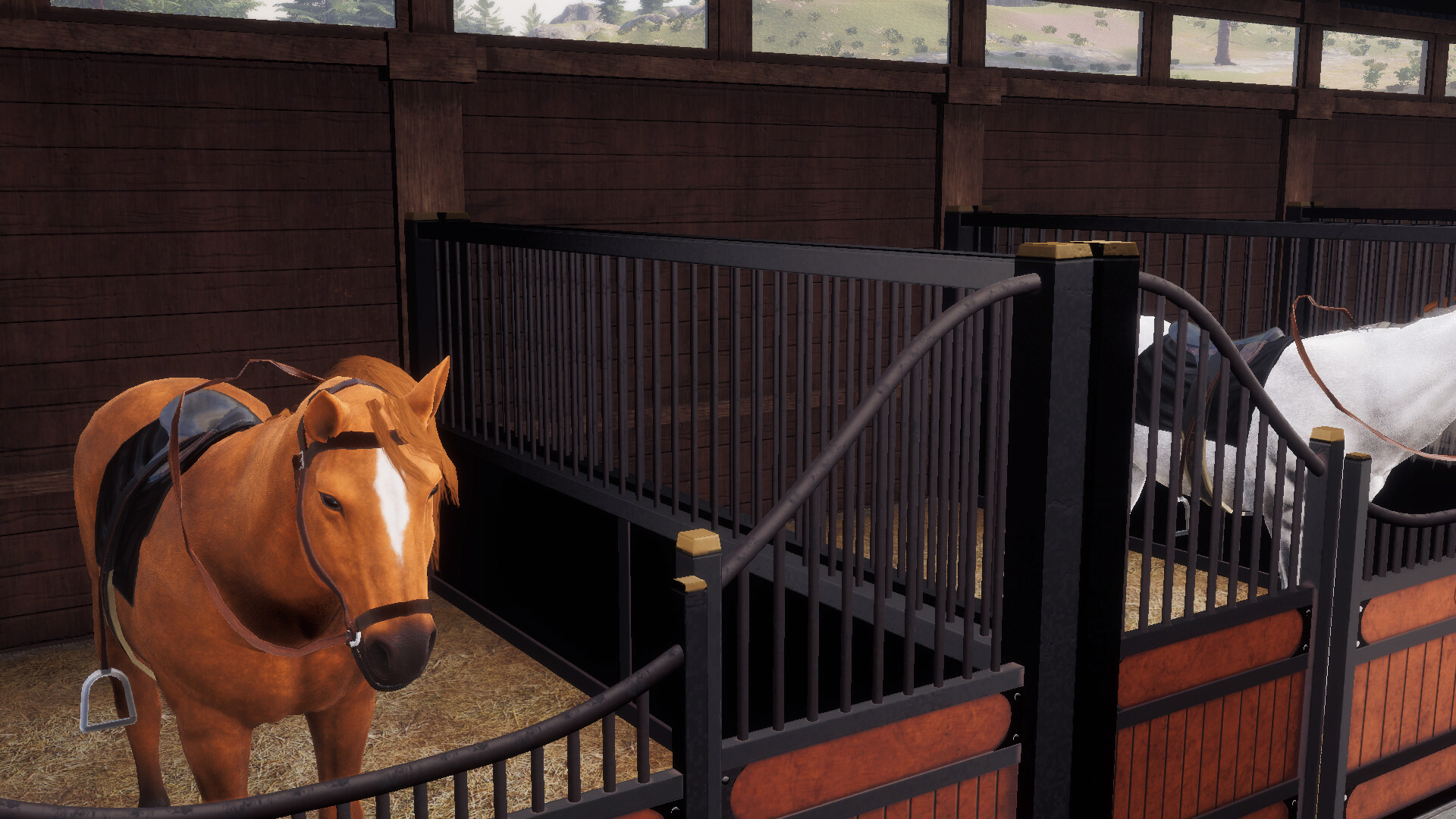 Derby Life: Ranch &amp; Race