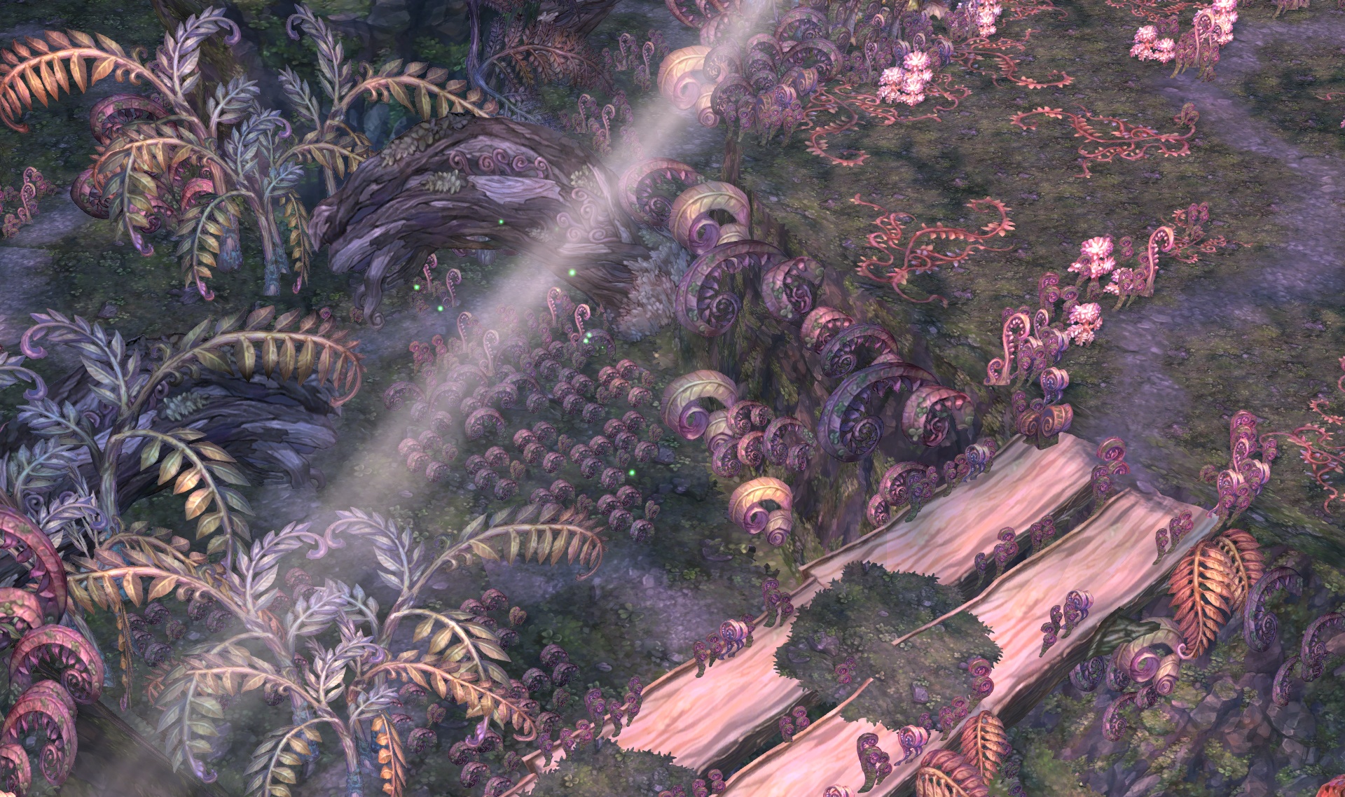 Tree of Savior
