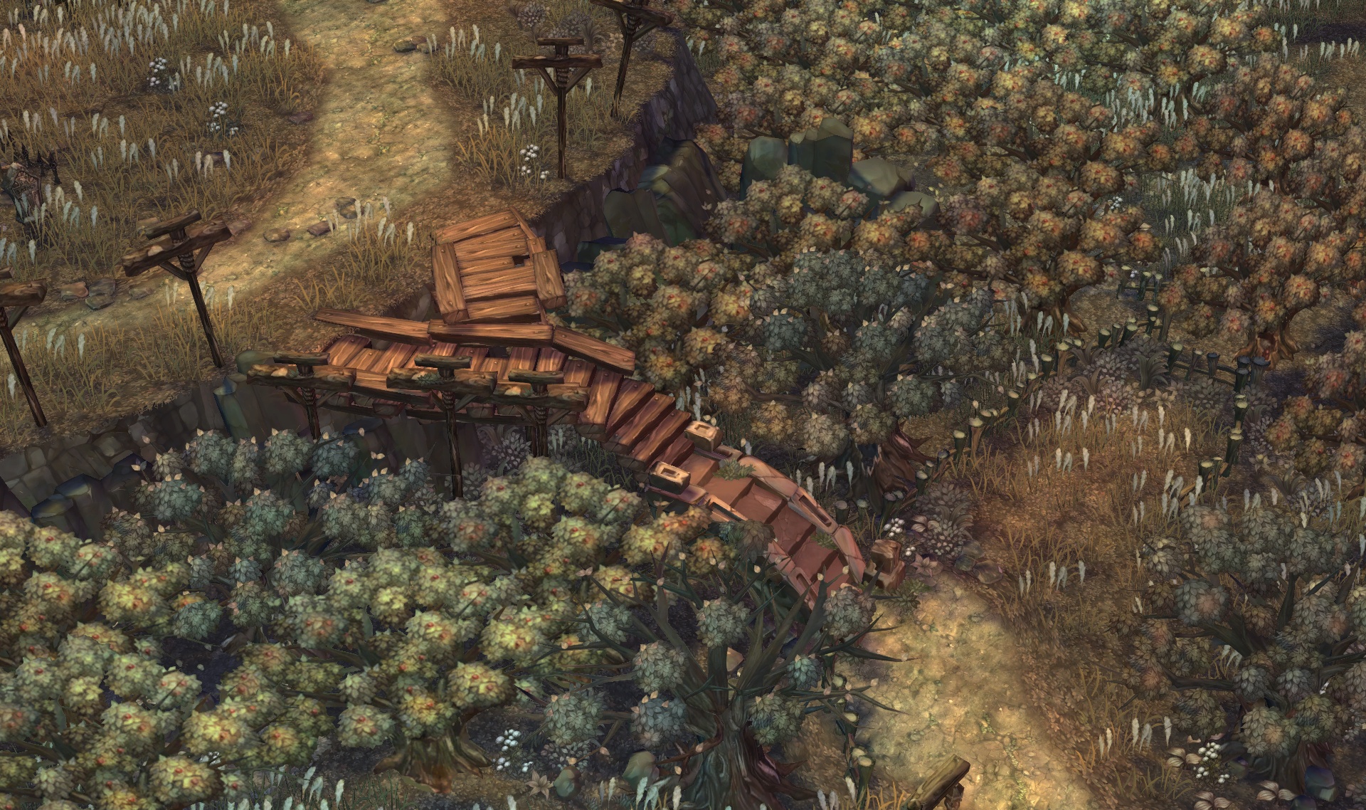 Tree of Savior