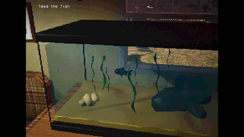 Feed the fish