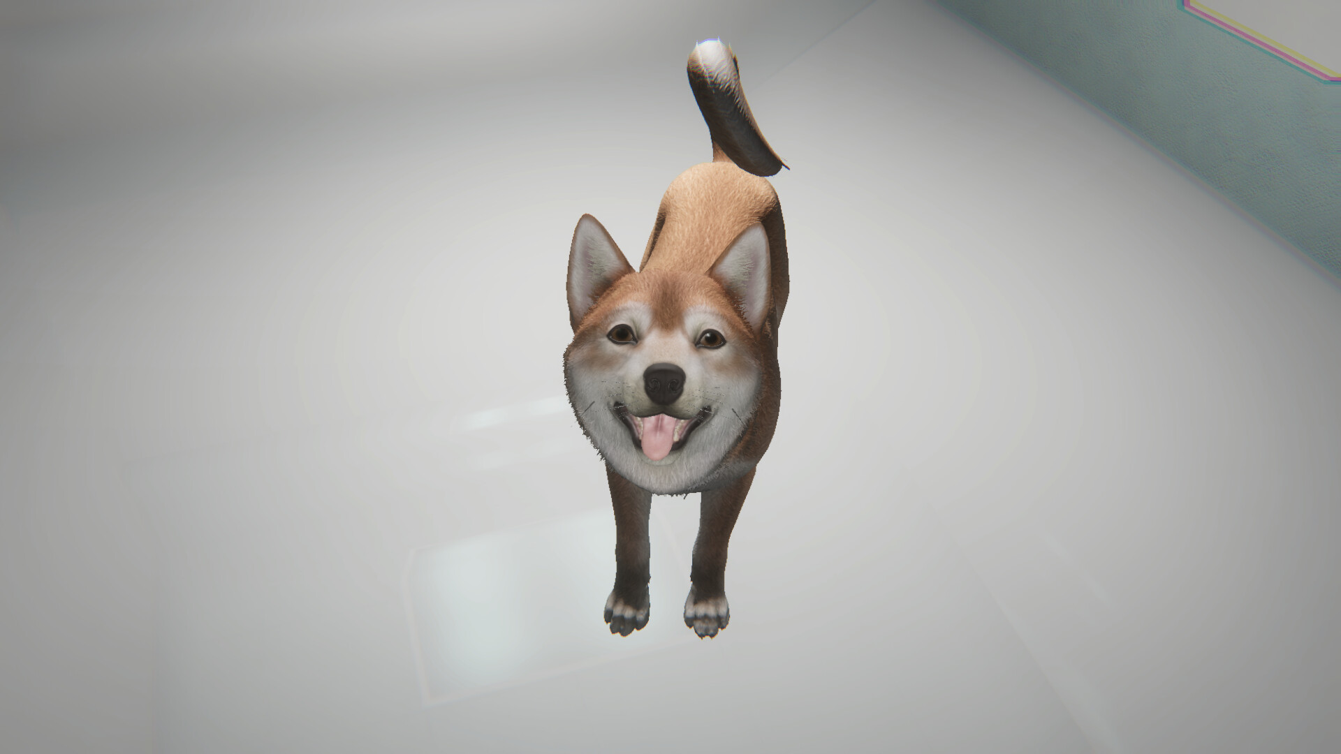 Like a dog