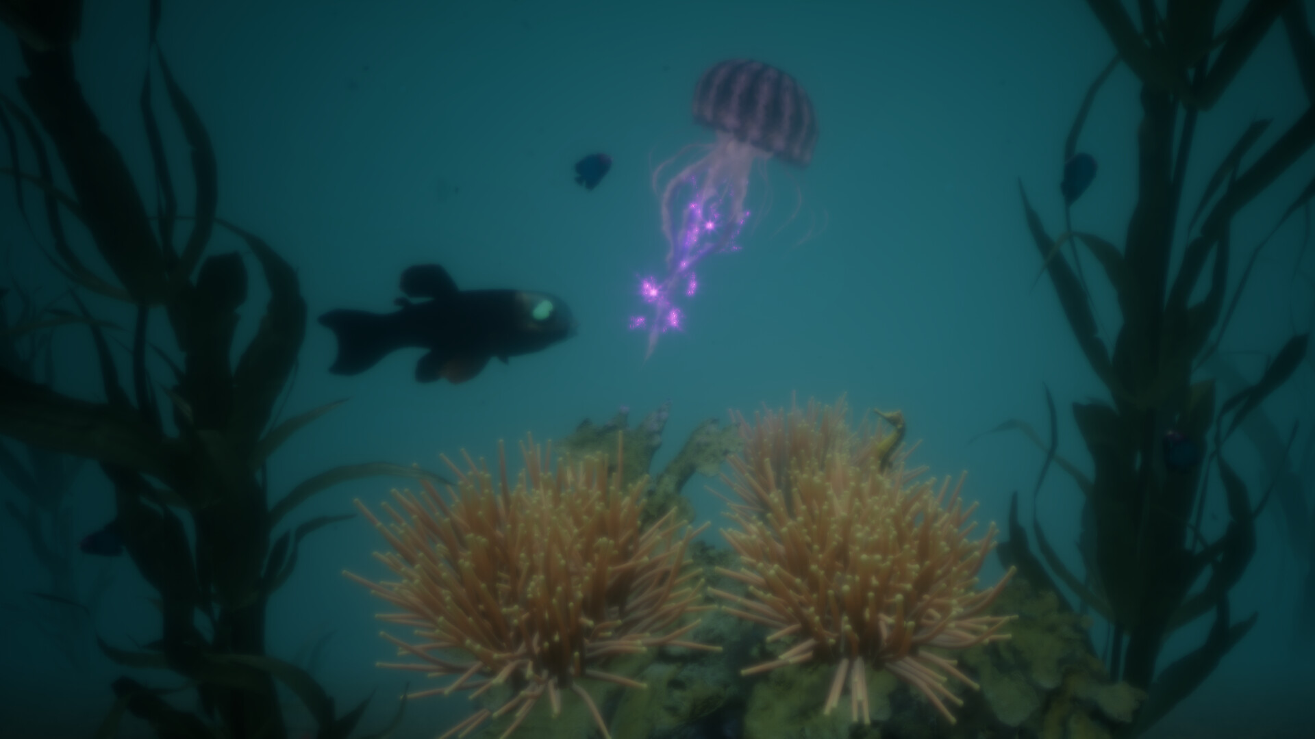 Aquavern