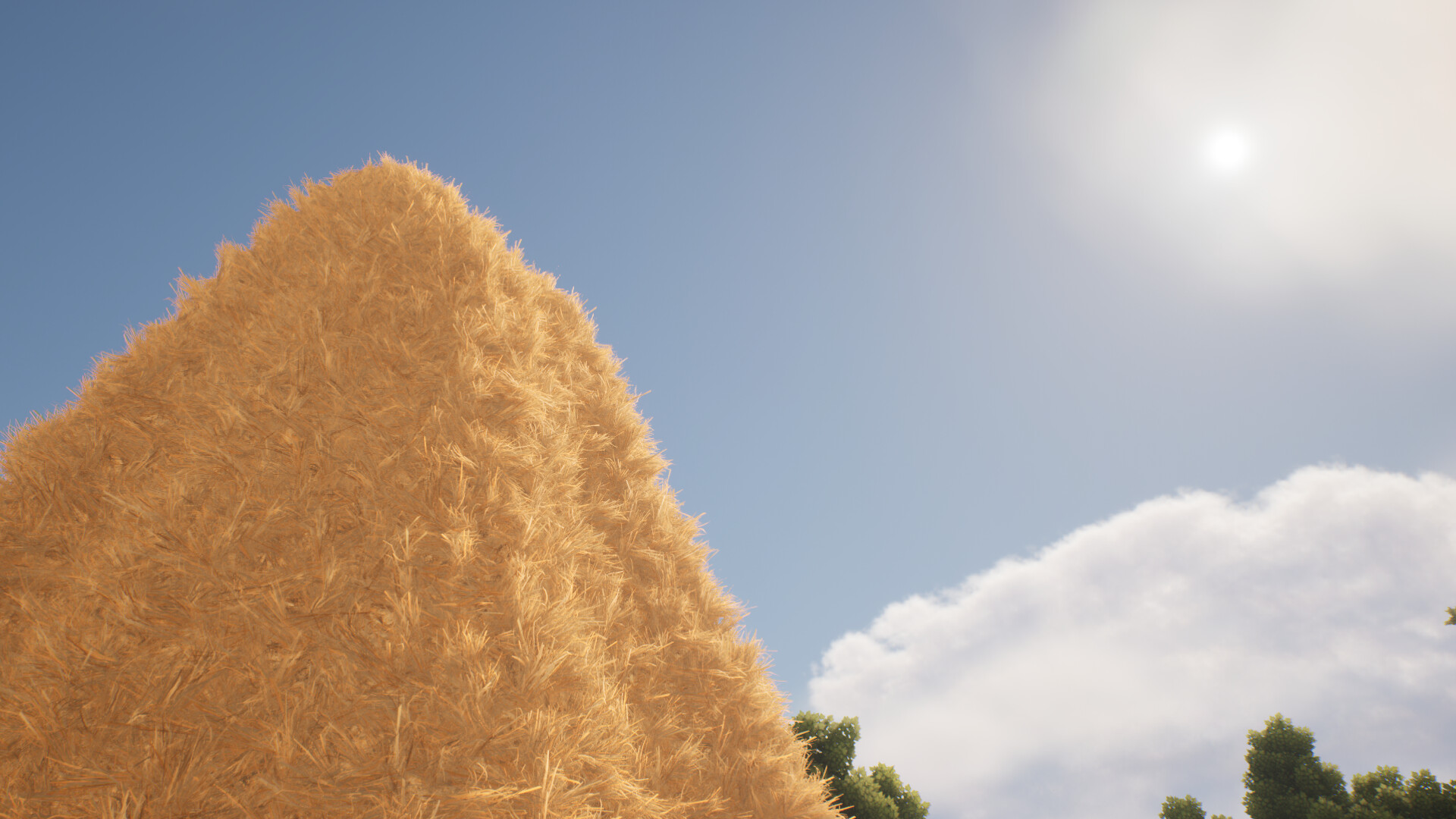 Needle In A Haystack