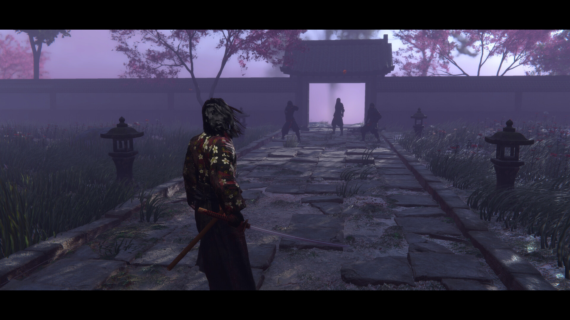 Red Masked Ronin: Desires and Shadows