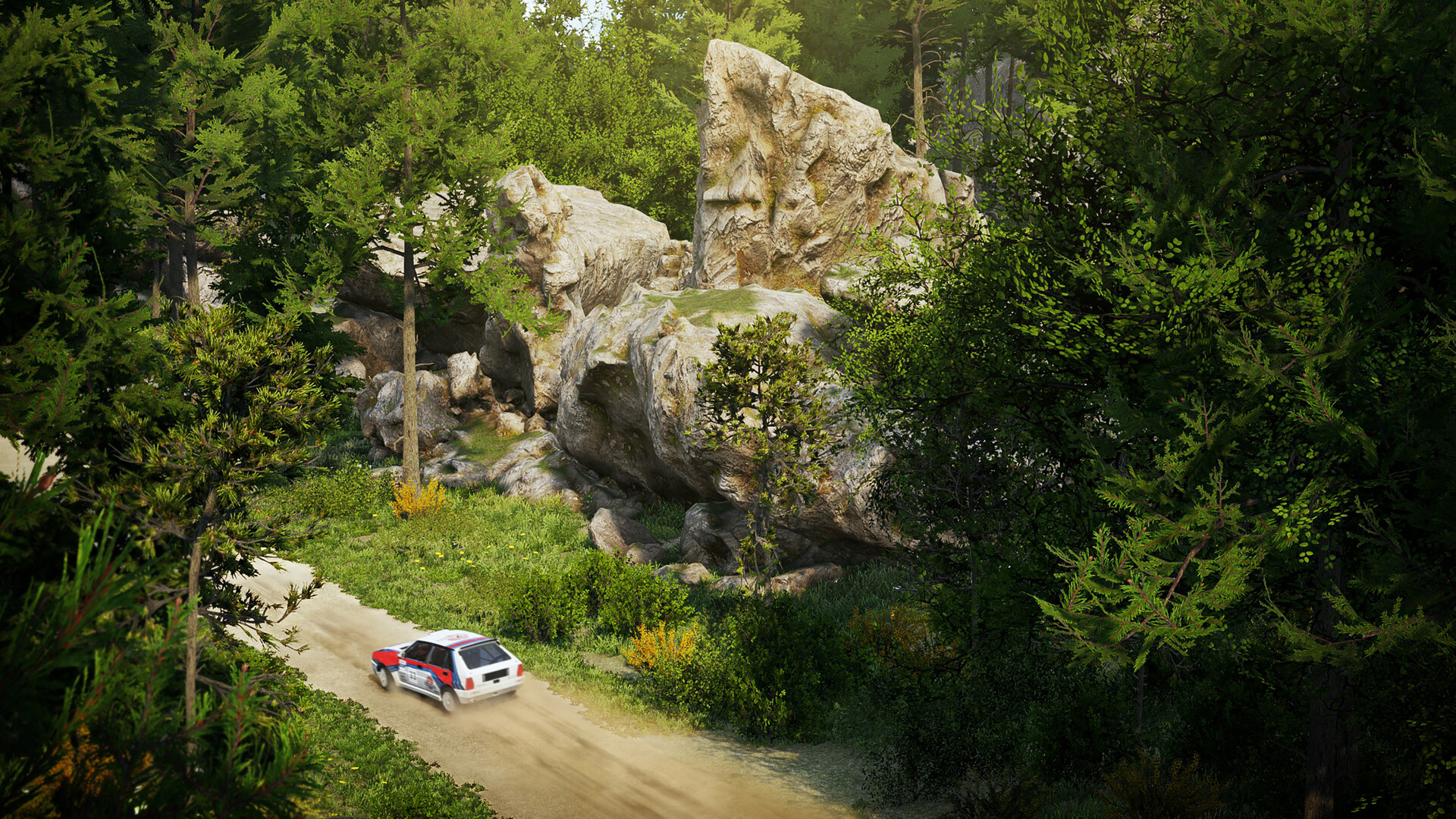 CarX Rally