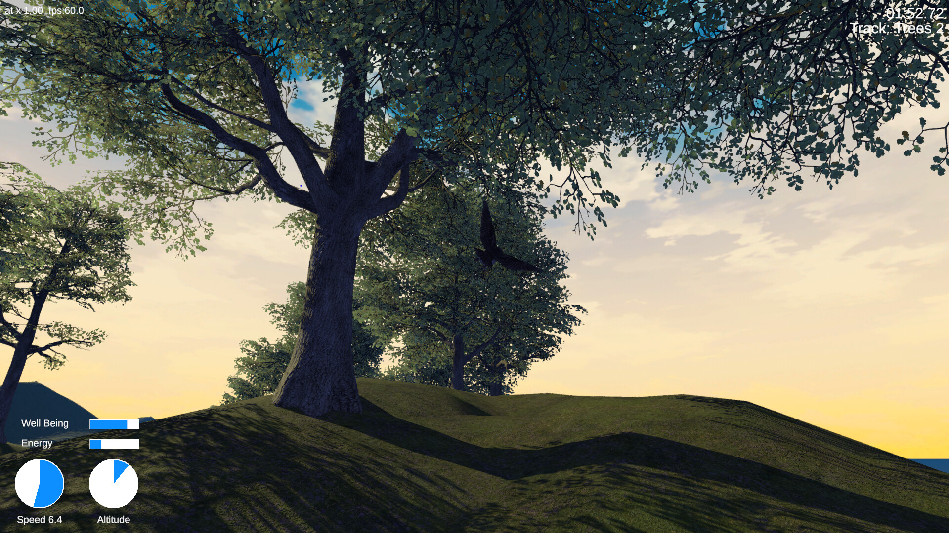 Small Bird Forest
