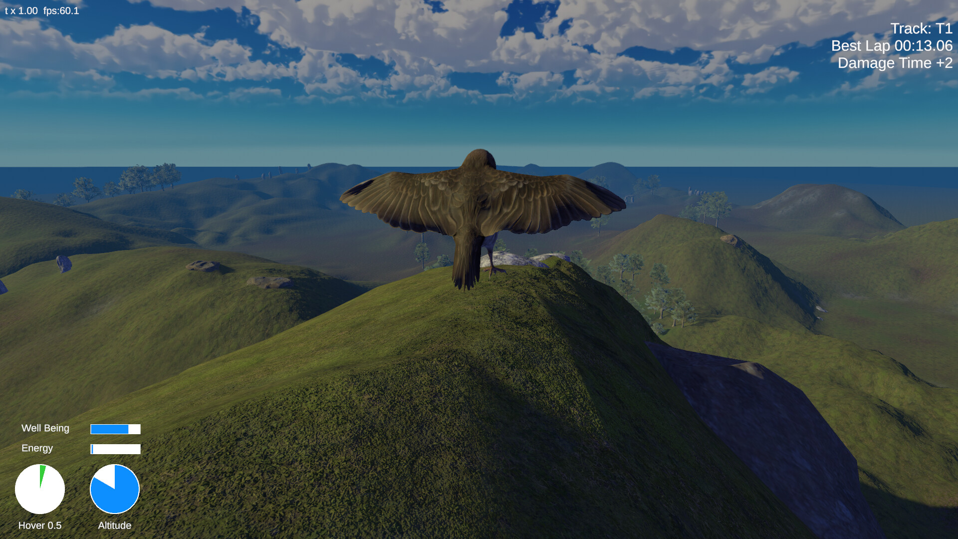 Small Bird Forest