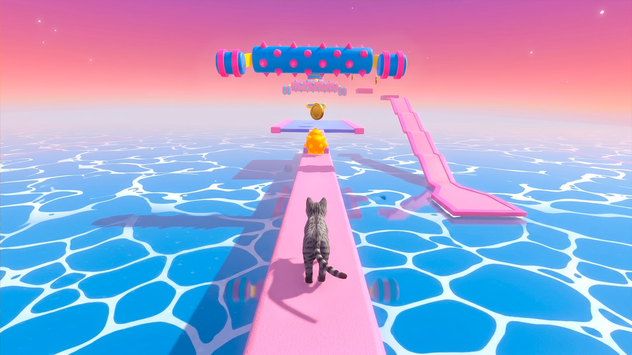 Cat Adventure