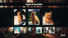 Solitaire Companions: Cats
