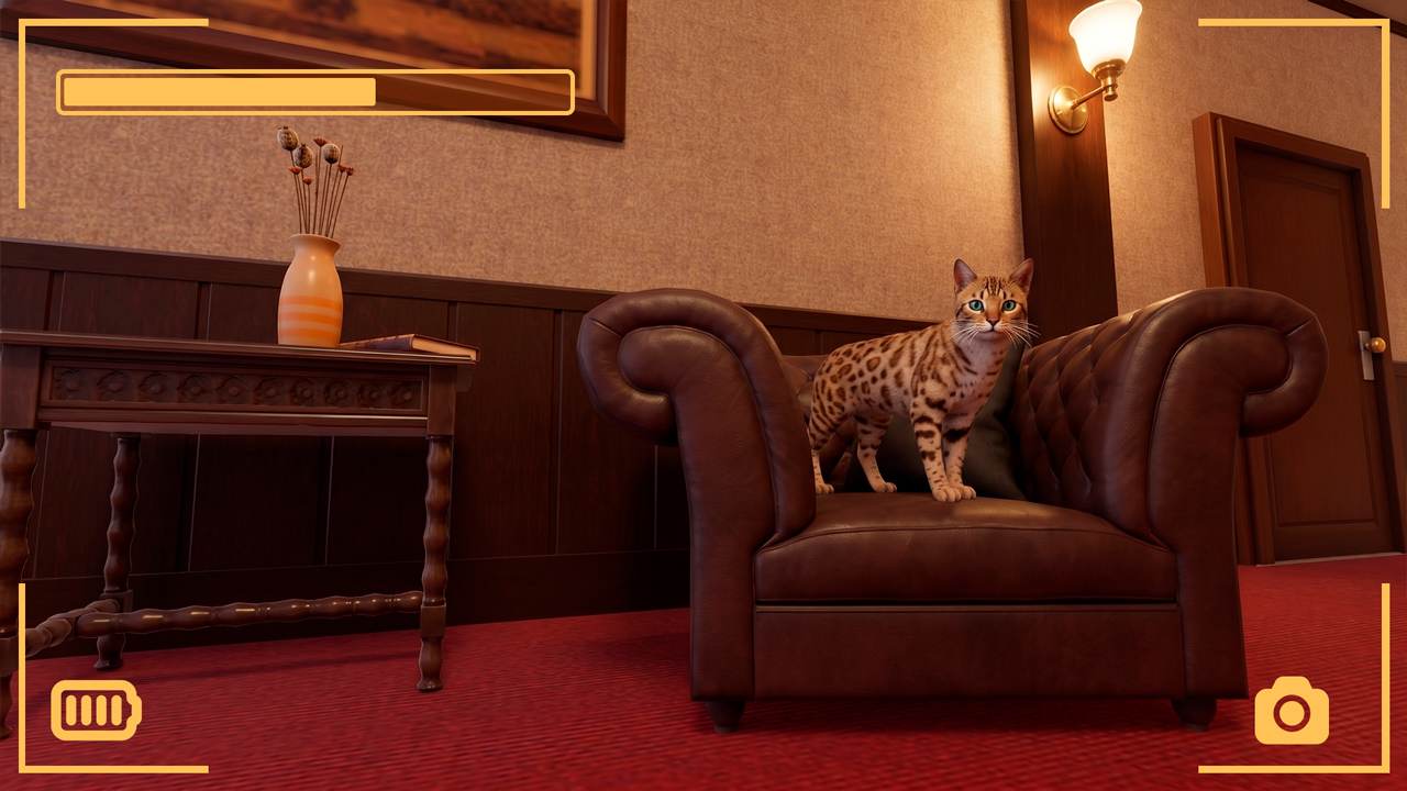 Strays &amp; Wild West Collection