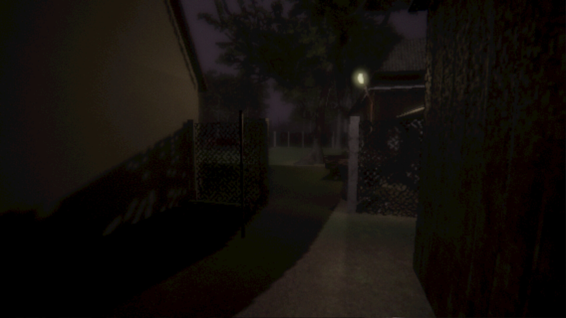 Lens of Darkness