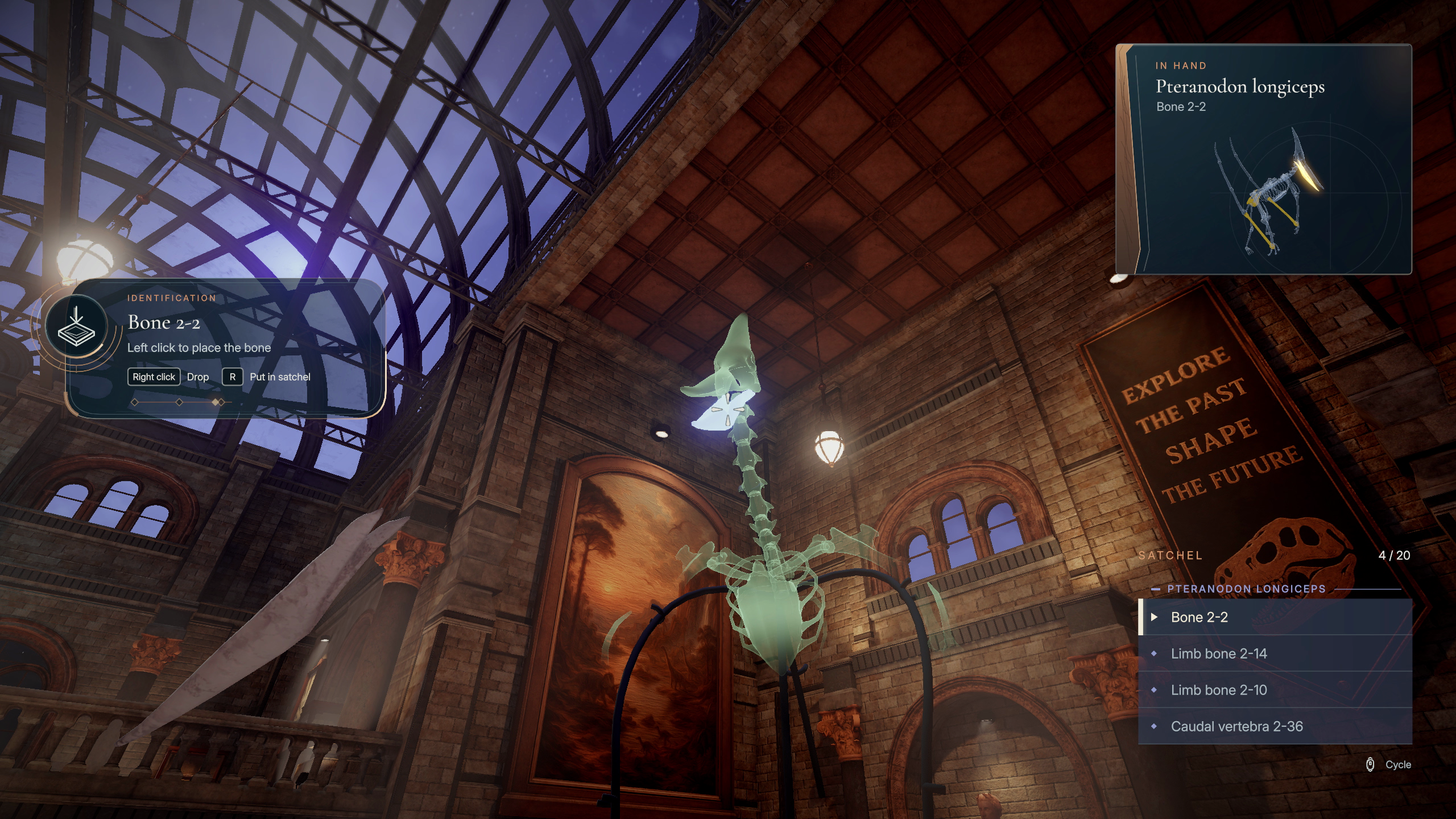 DinoBones: Tidy Up the Museum