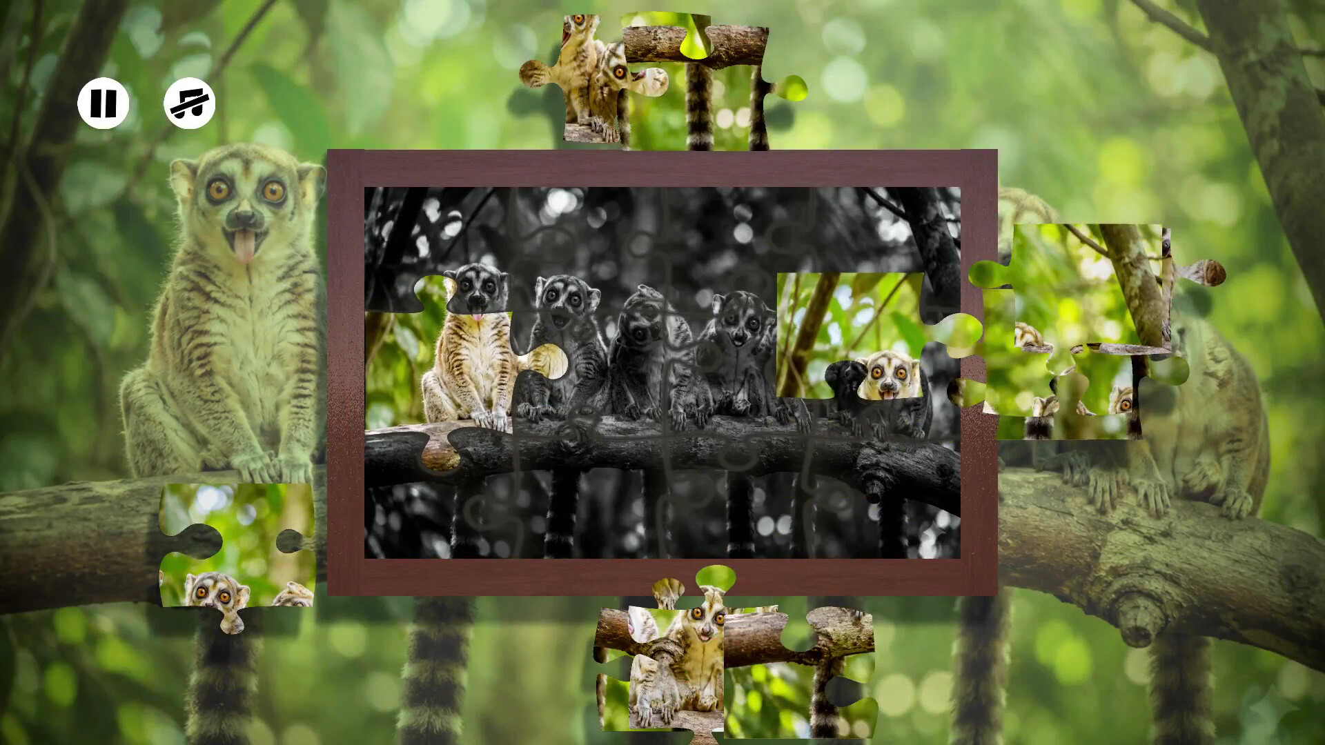 Puzzles: Monkey