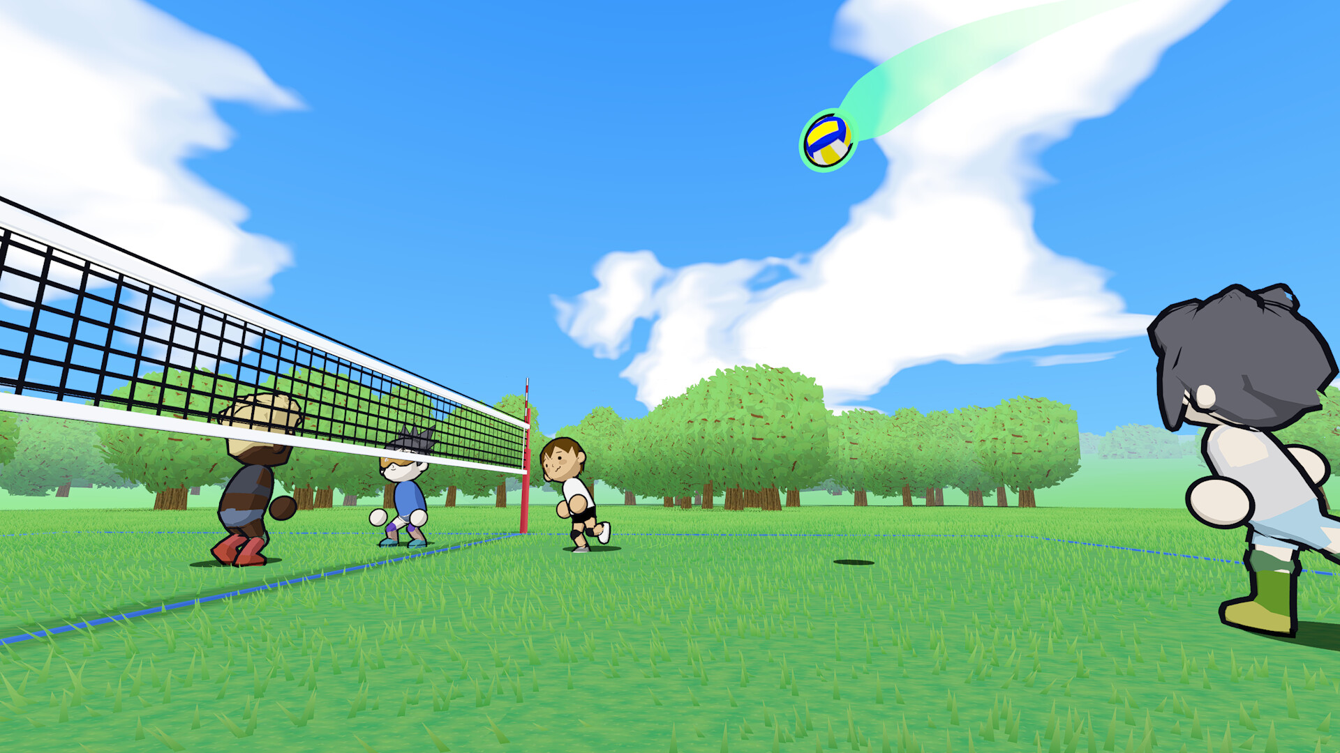Just Volleyball