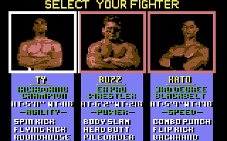 Pit-Fighter