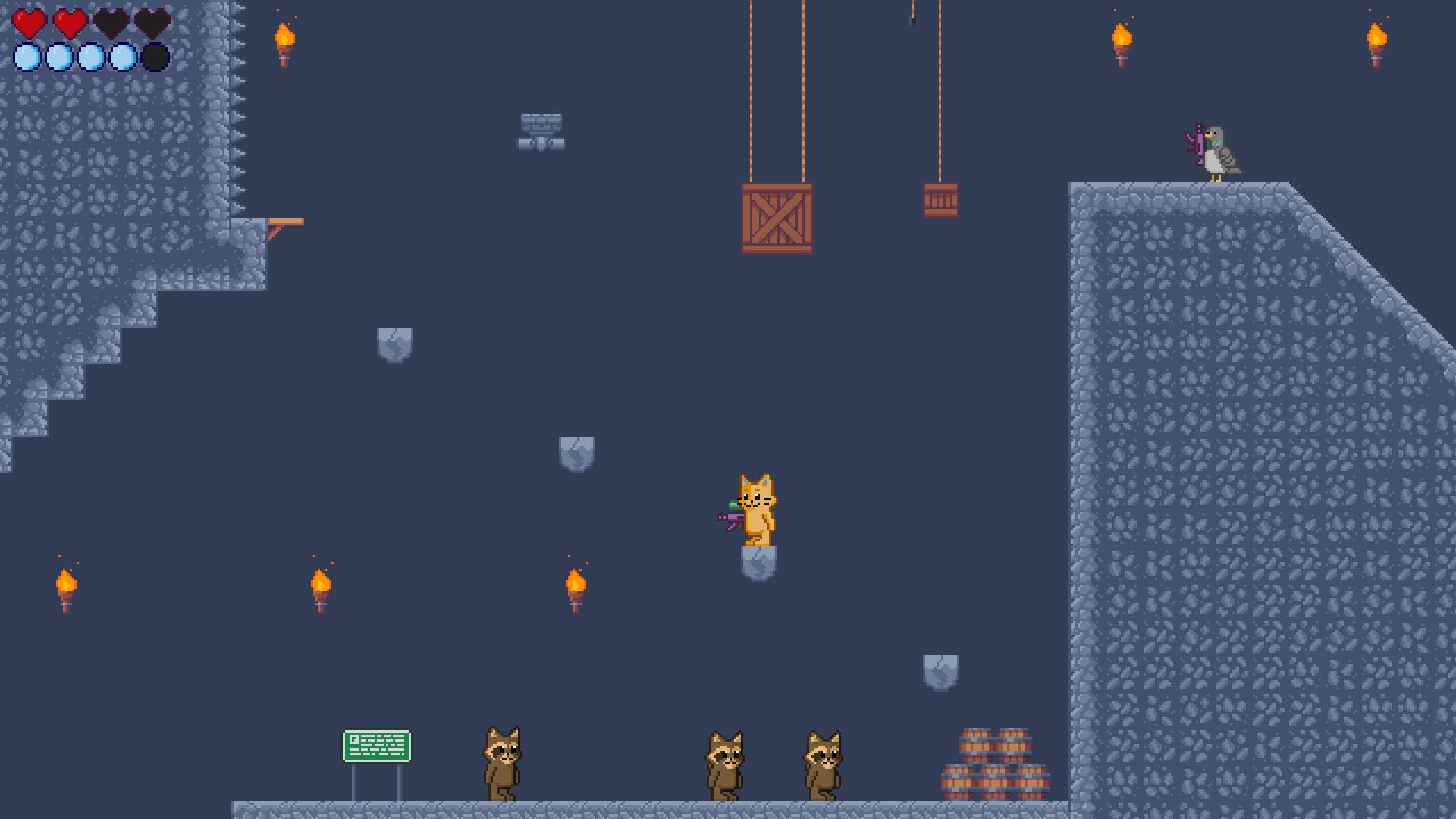Water Gun Cat