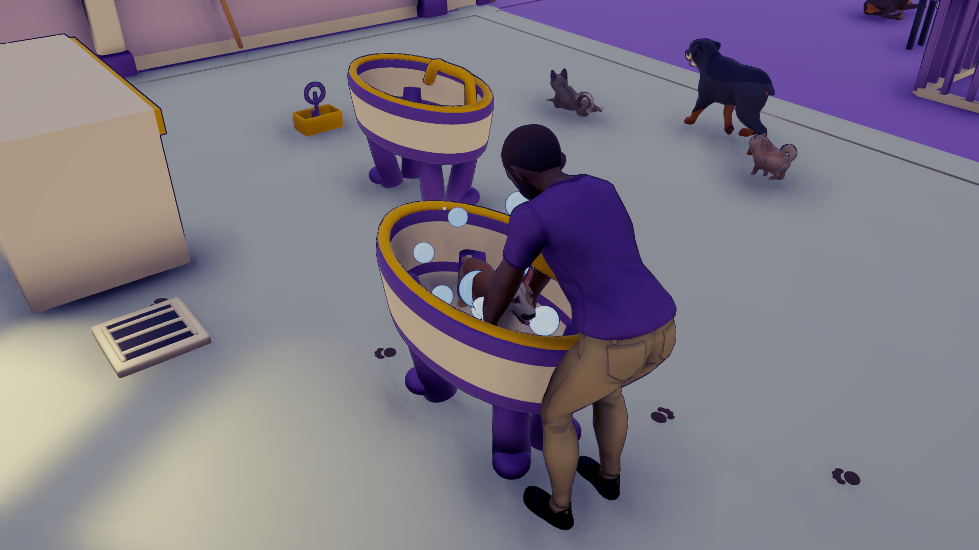 Kennel Chaos