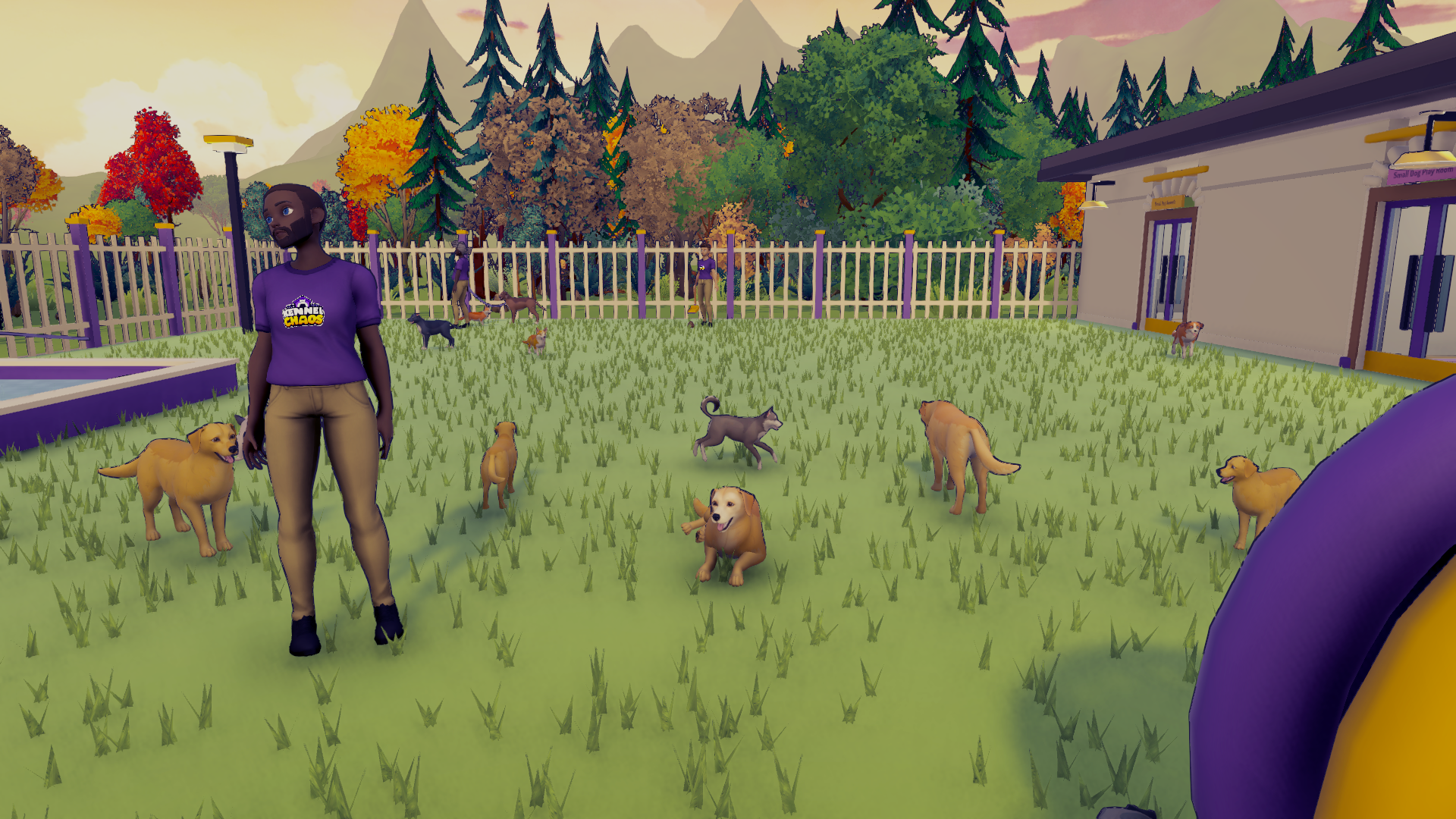 Kennel Chaos