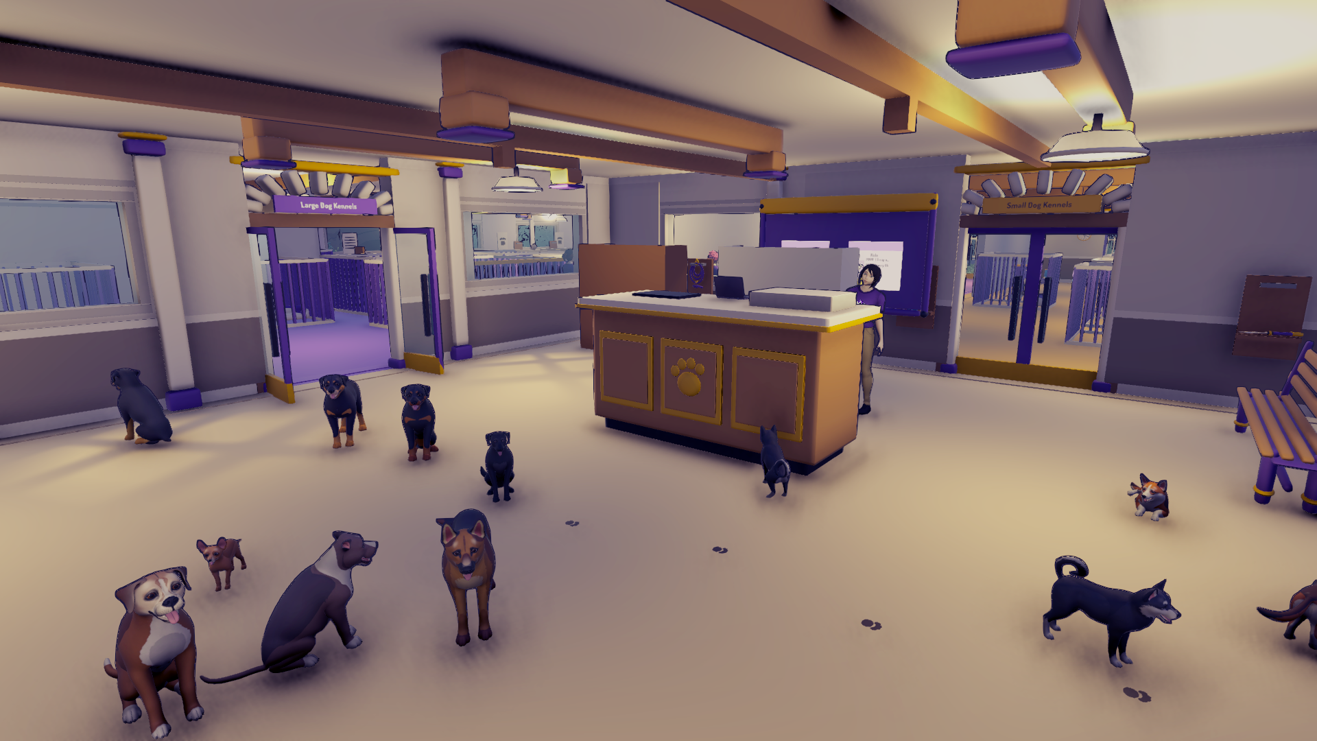 Kennel Chaos