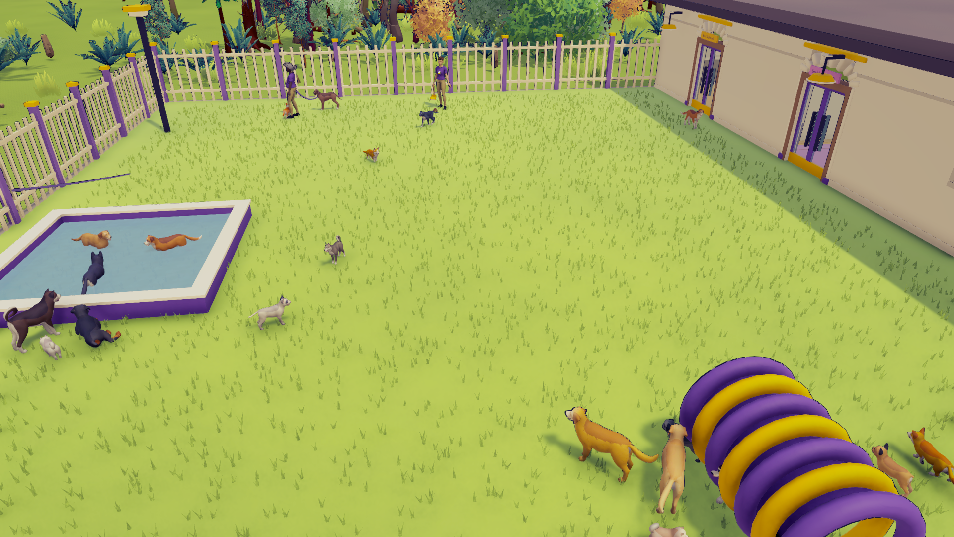 Kennel Chaos