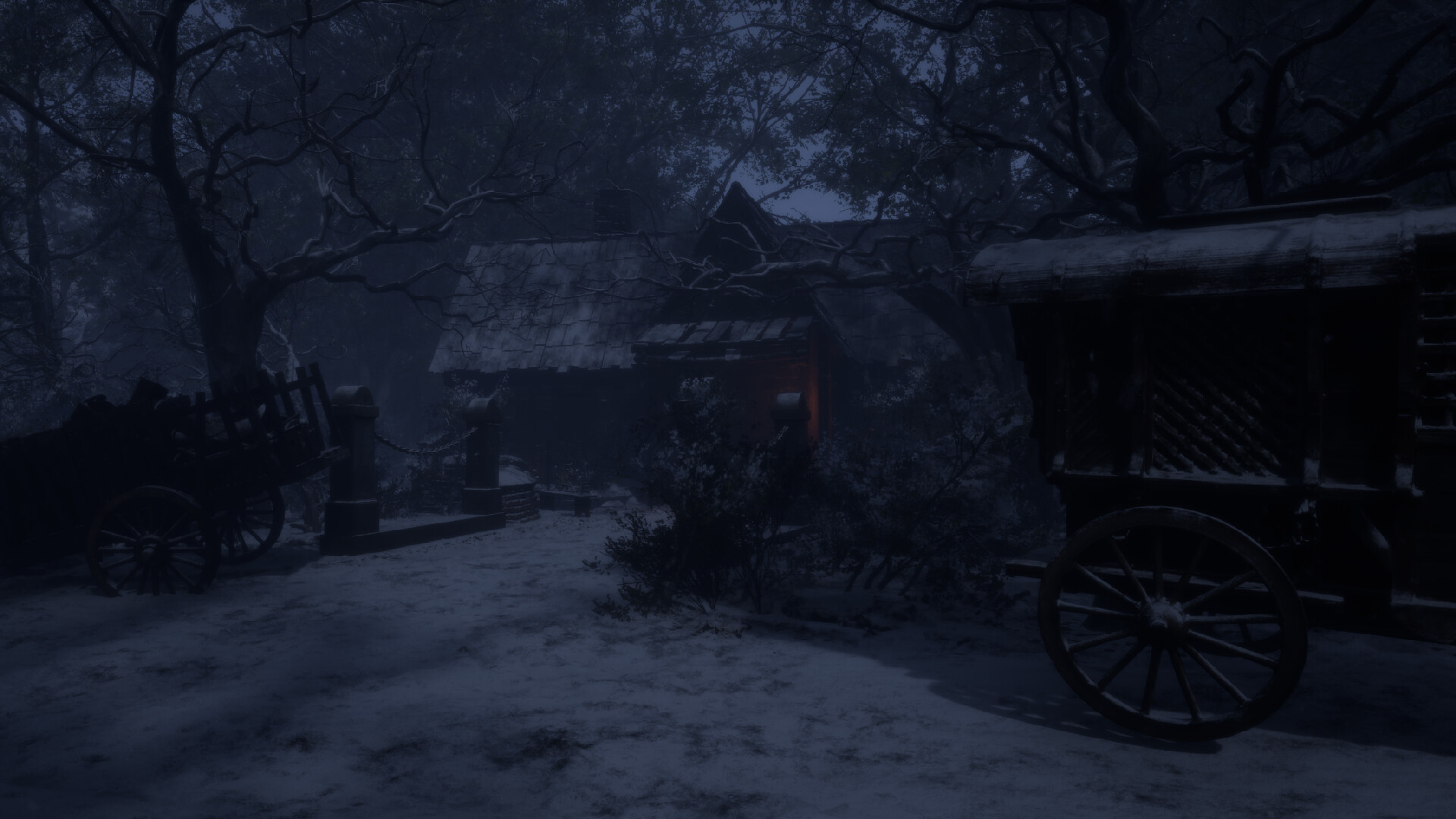 Veil of the Black Ark