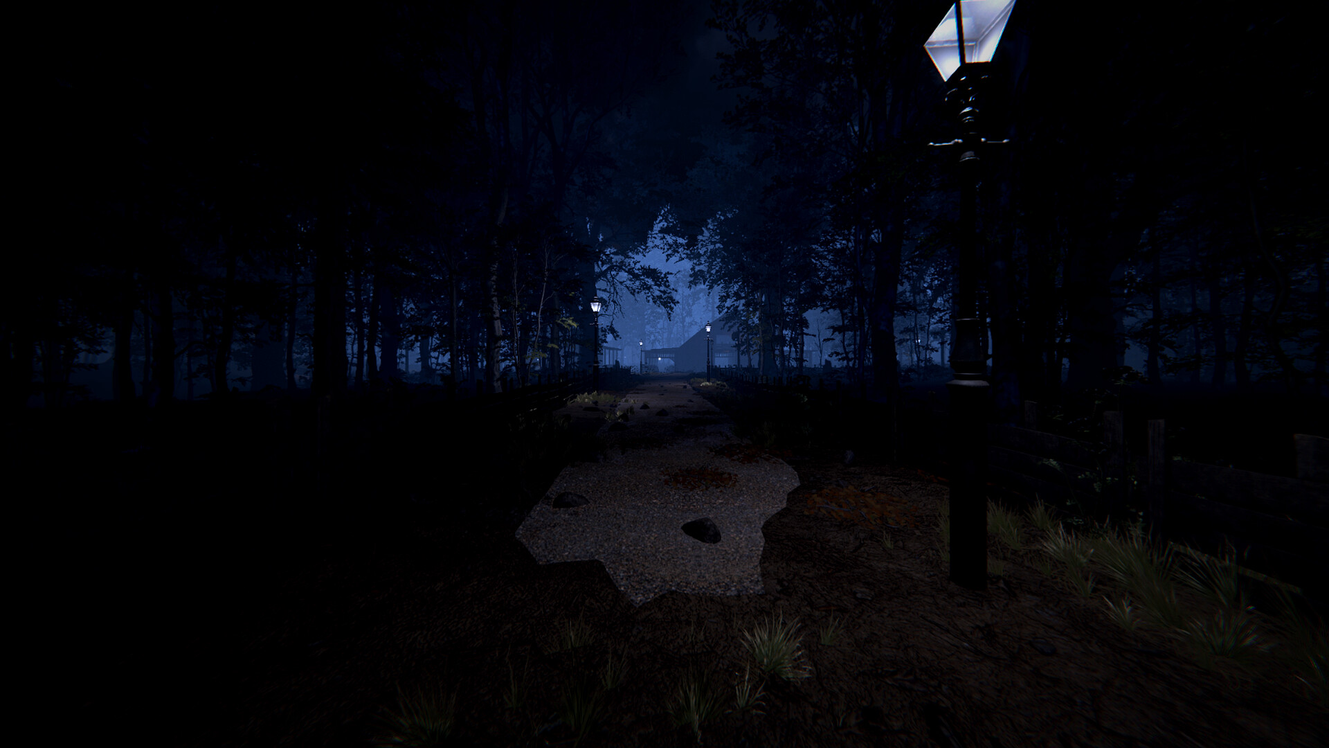 The Dark Forest Calls