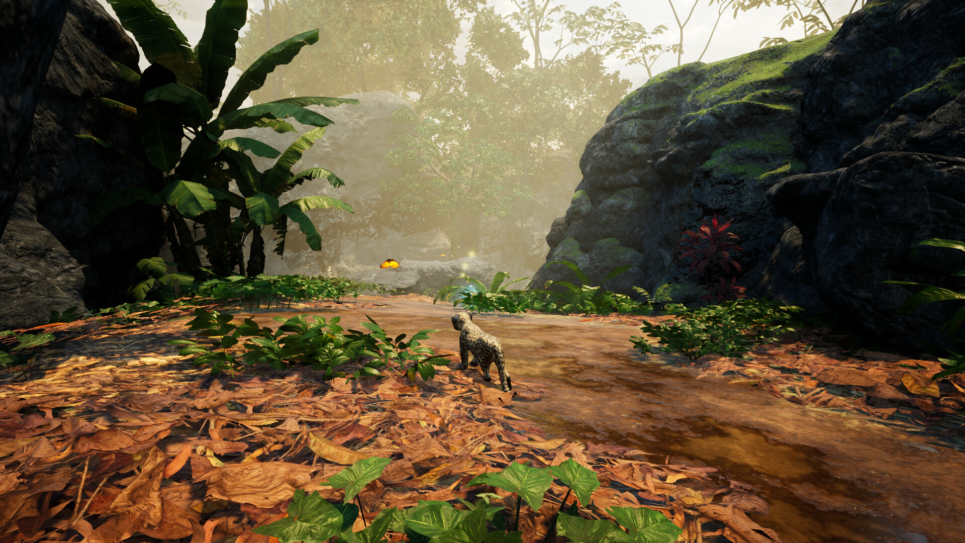 Kito: Lost Trail