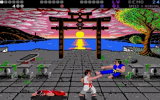 The Last Ninja &amp; IK Collection
