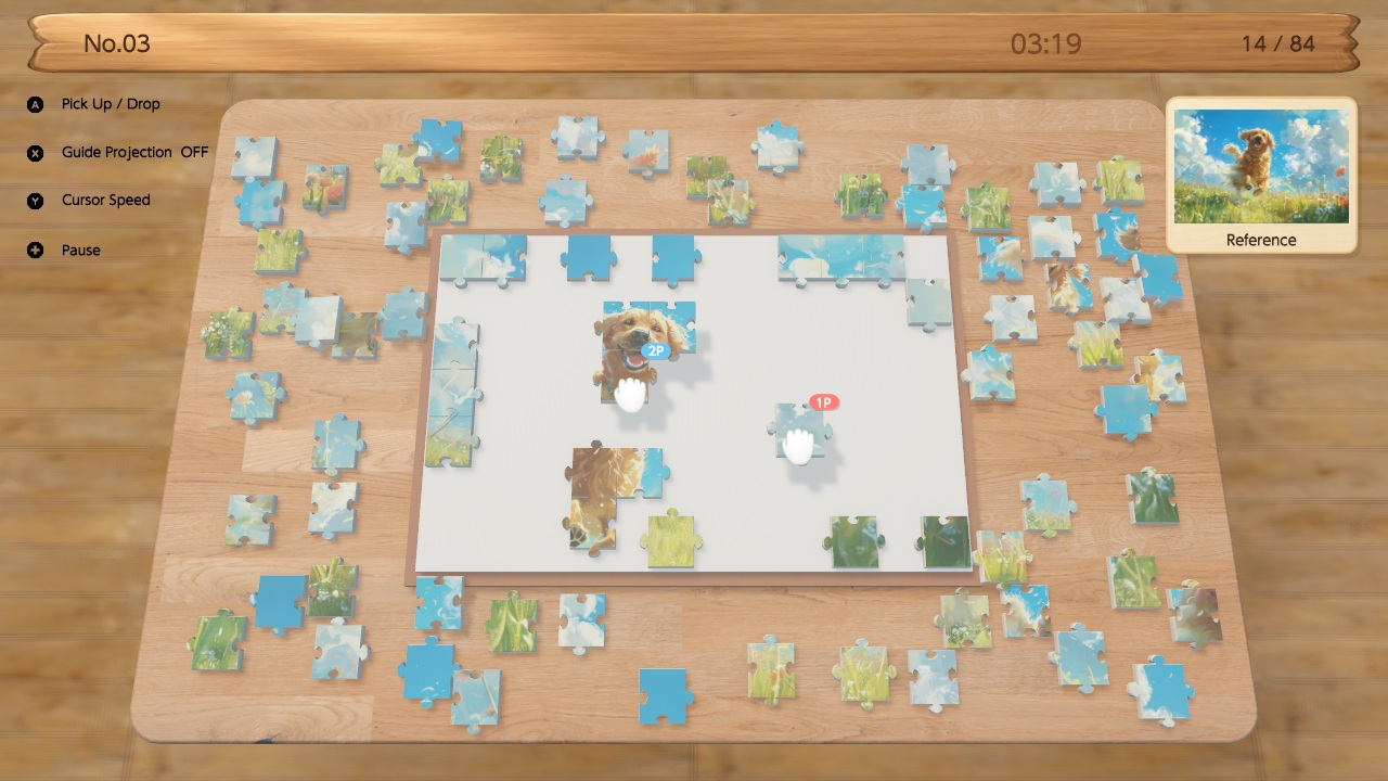 Canvas Puzzle