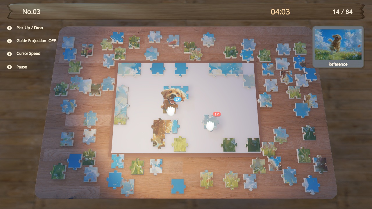 Canvas Puzzle