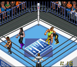 Super Fire Pro Wrestling X