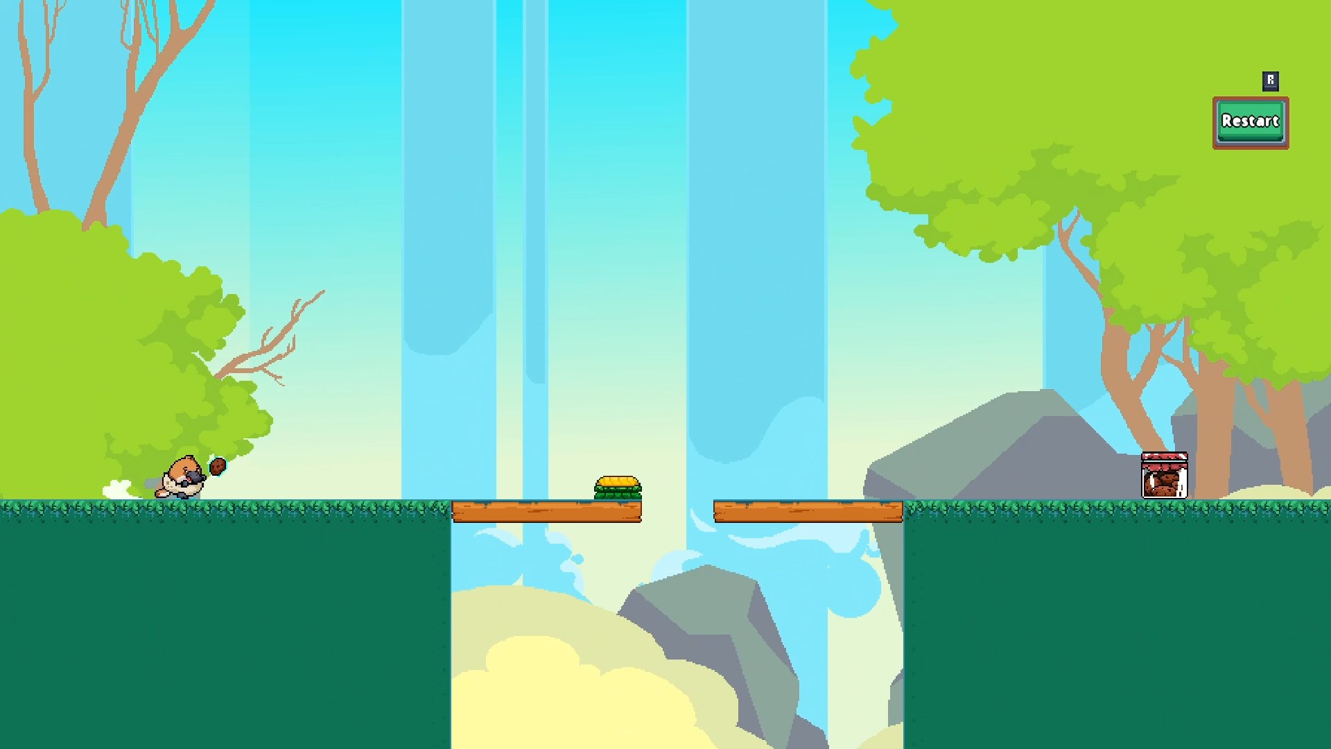 Platypus Steps