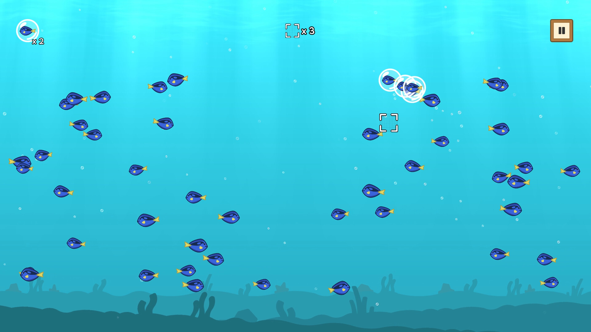 Coco’s Beachquarium