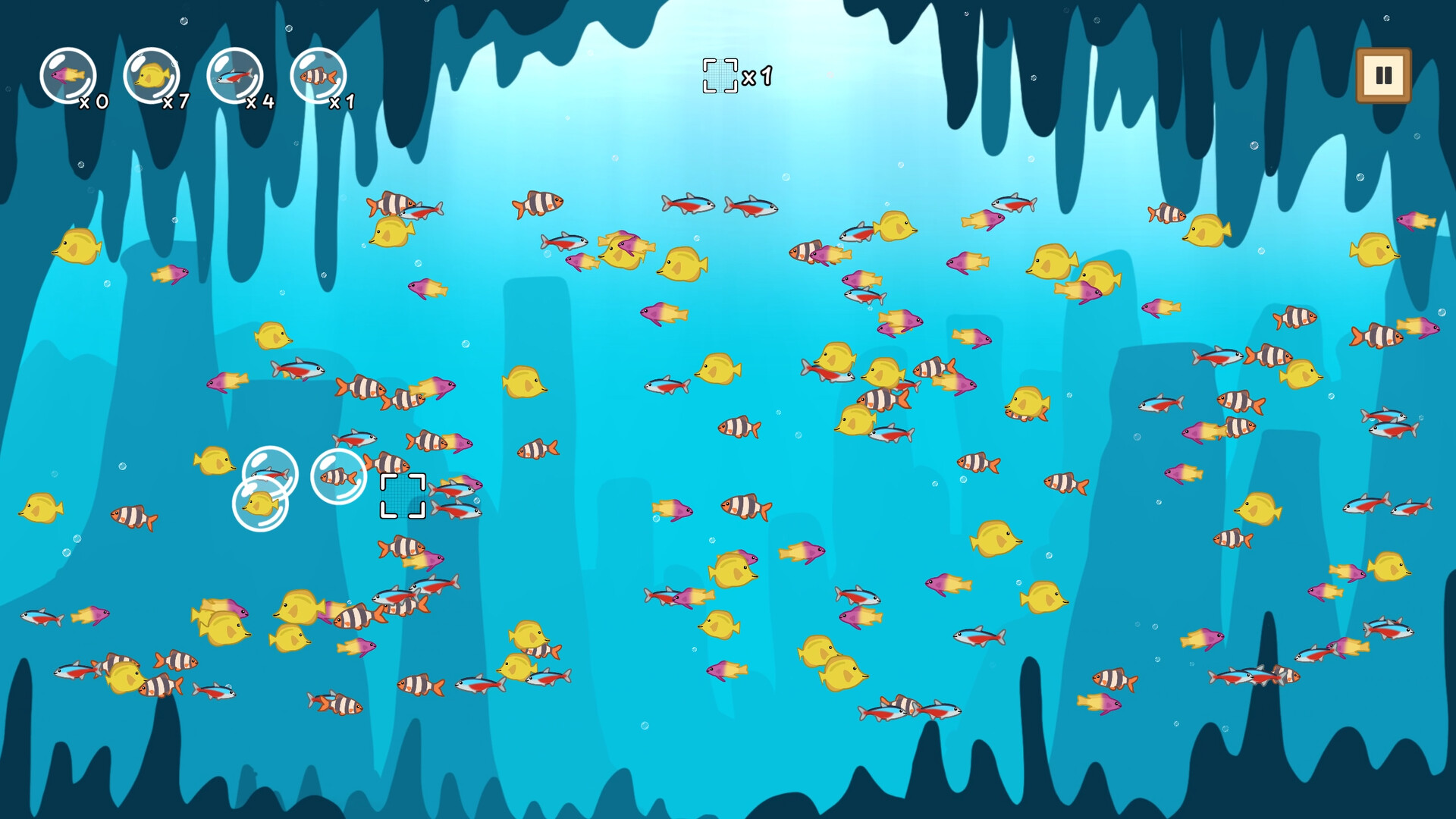 Coco’s Beachquarium