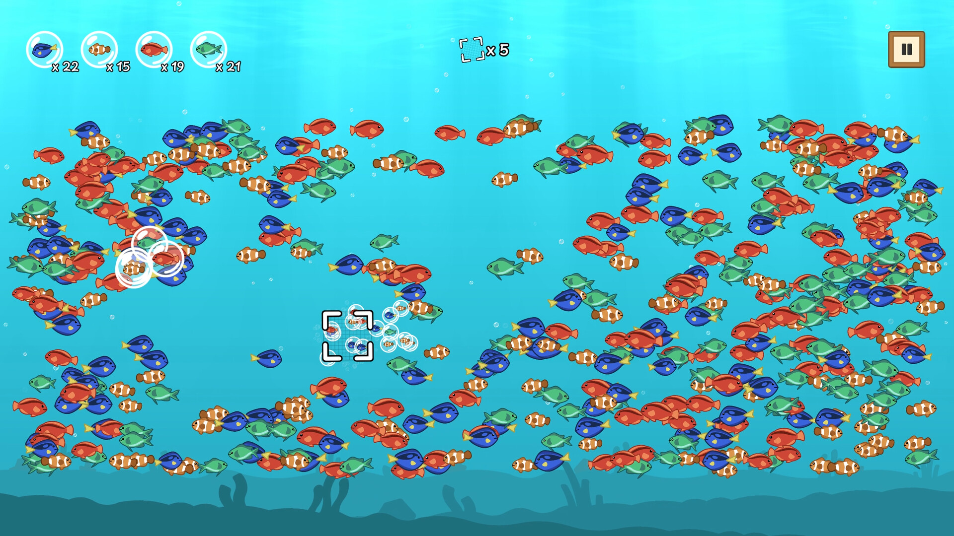 Coco’s Beachquarium