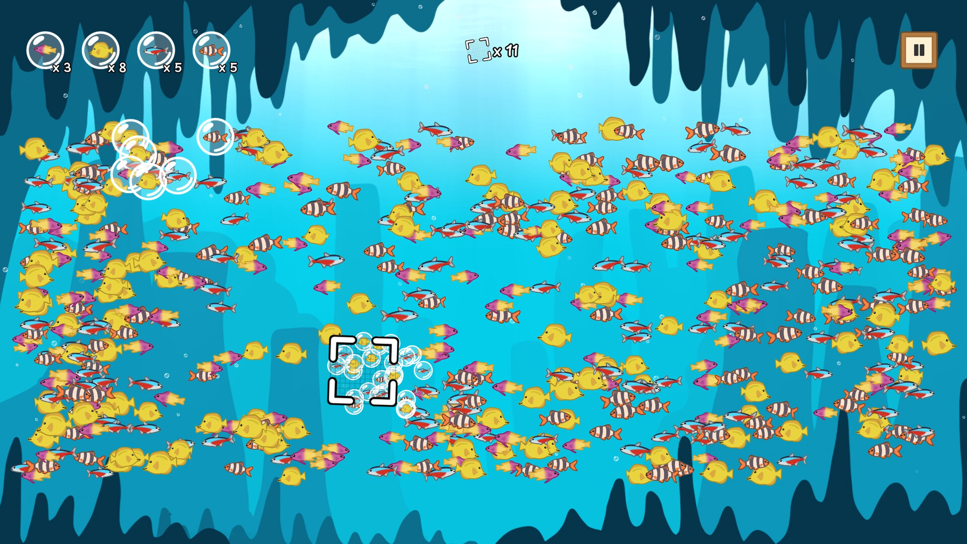 Coco’s Beachquarium