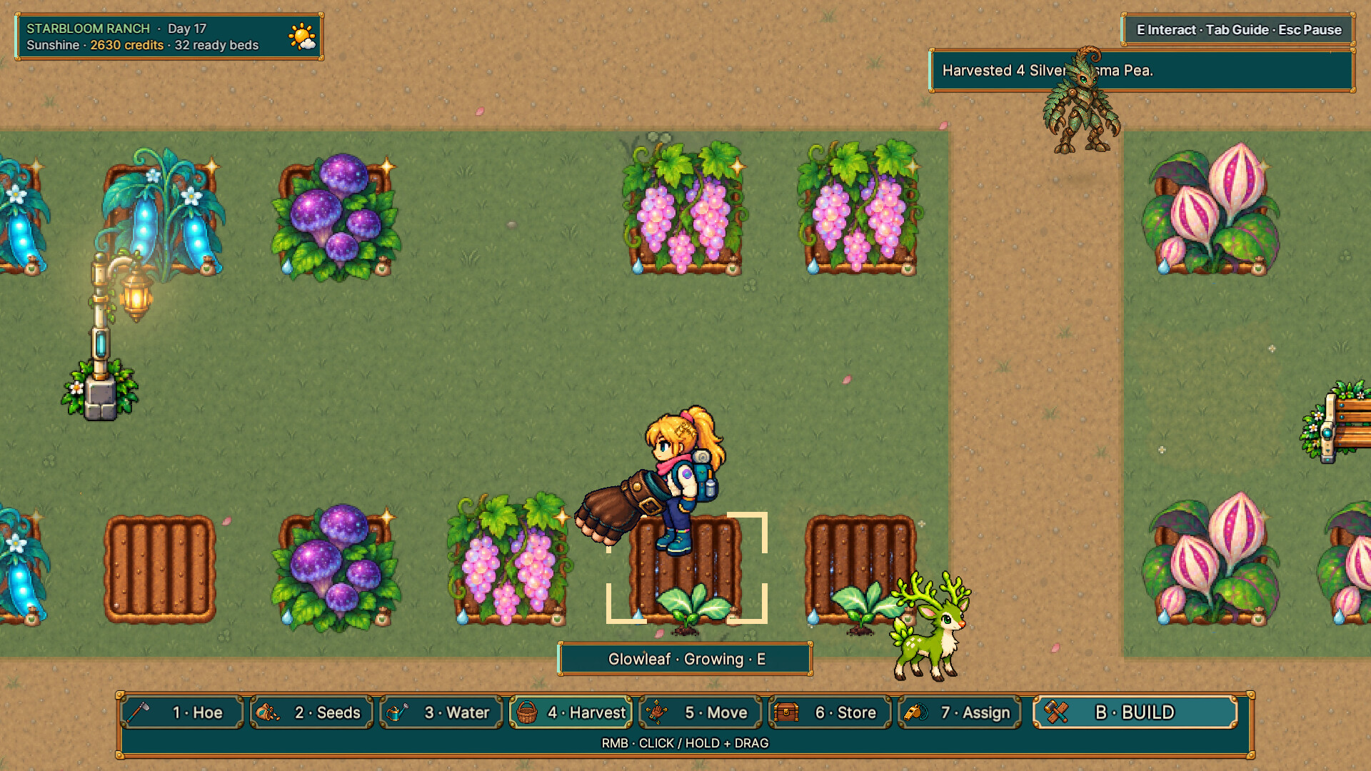 Starbloom Ranch