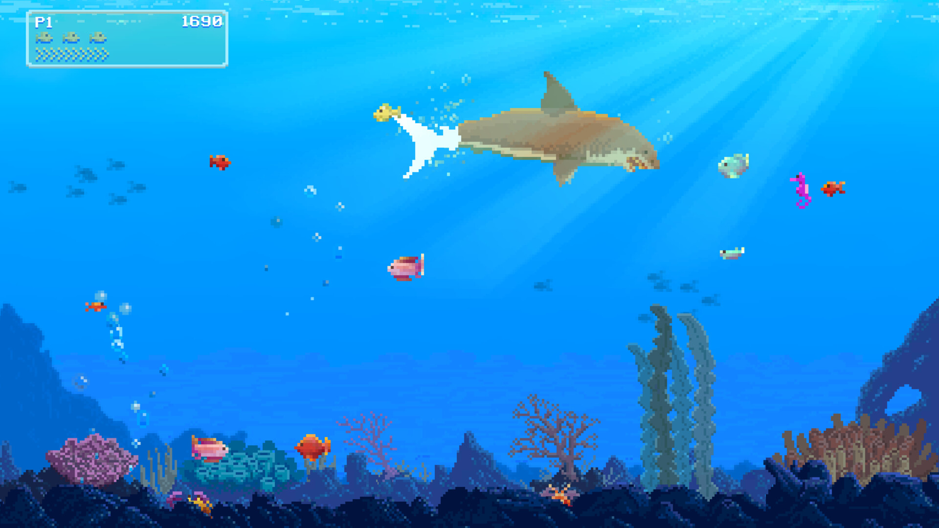 Watch Out: Shark!