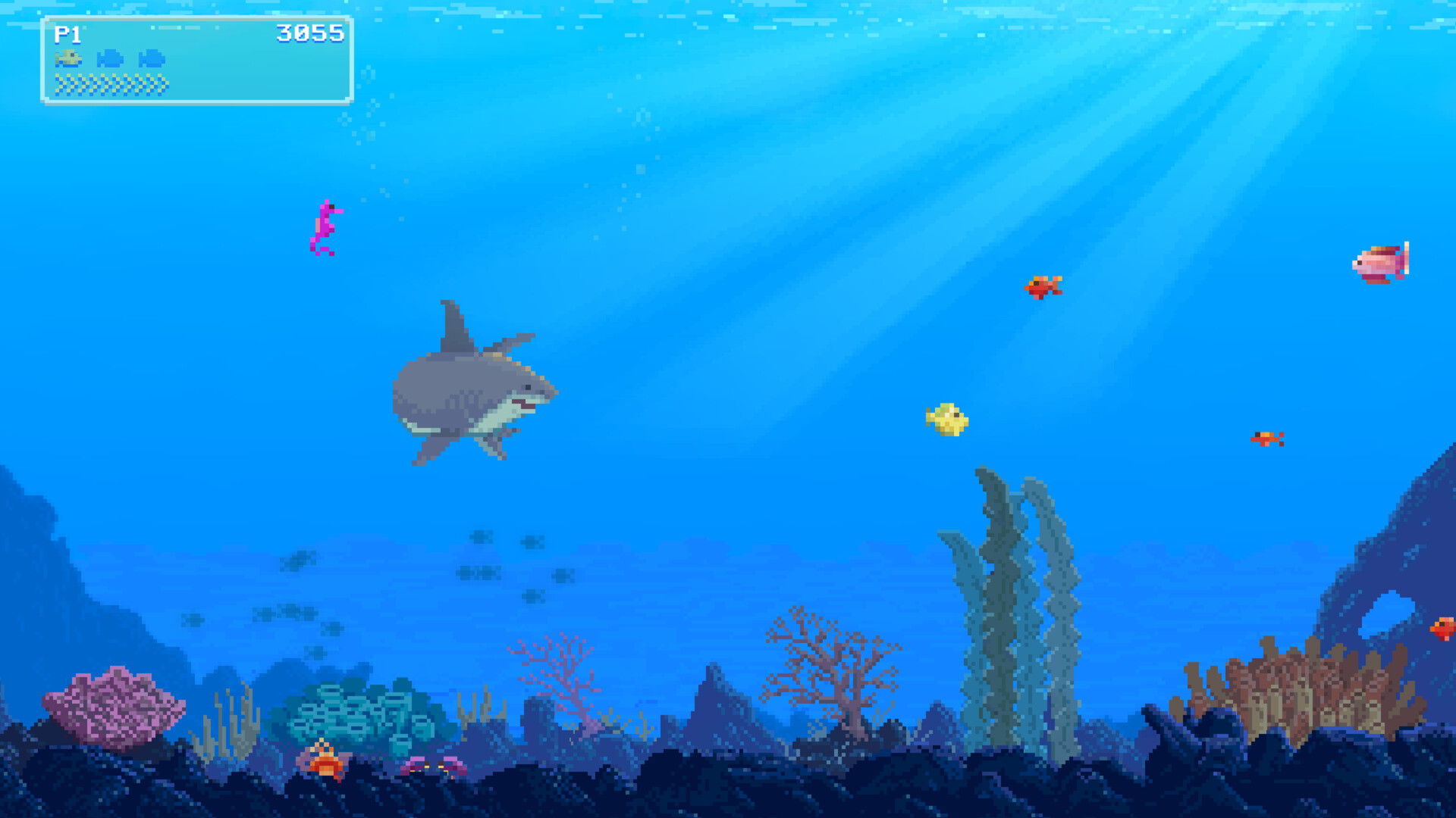 Watch Out: Shark!