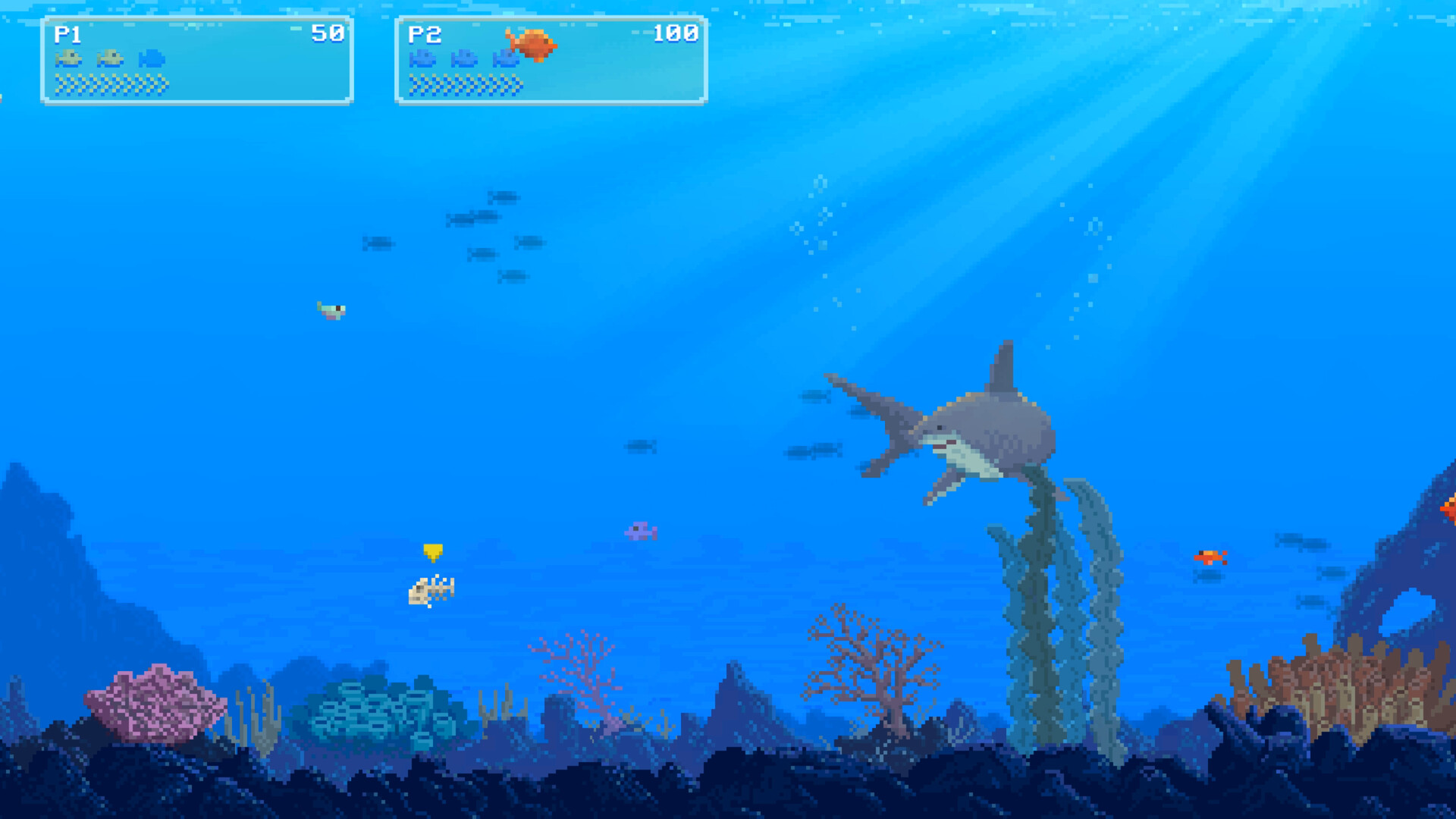 Watch Out: Shark!