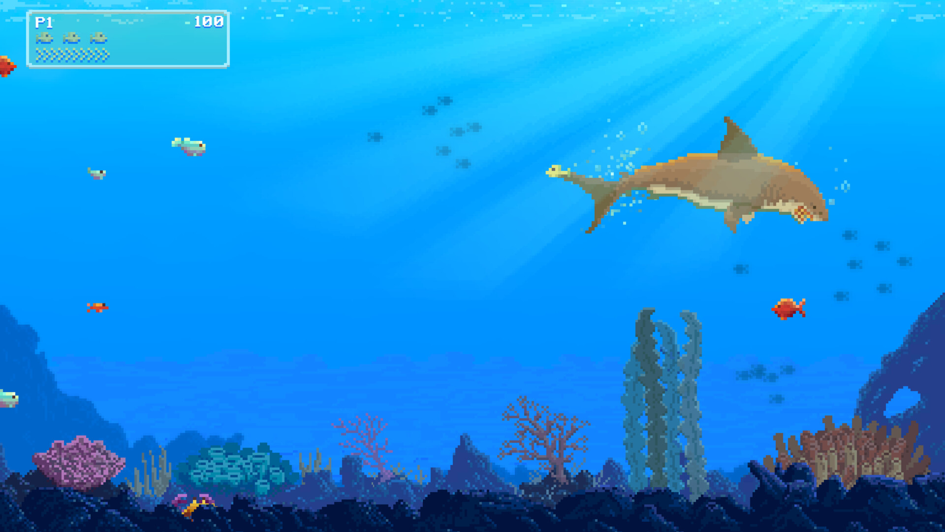 Watch Out: Shark!